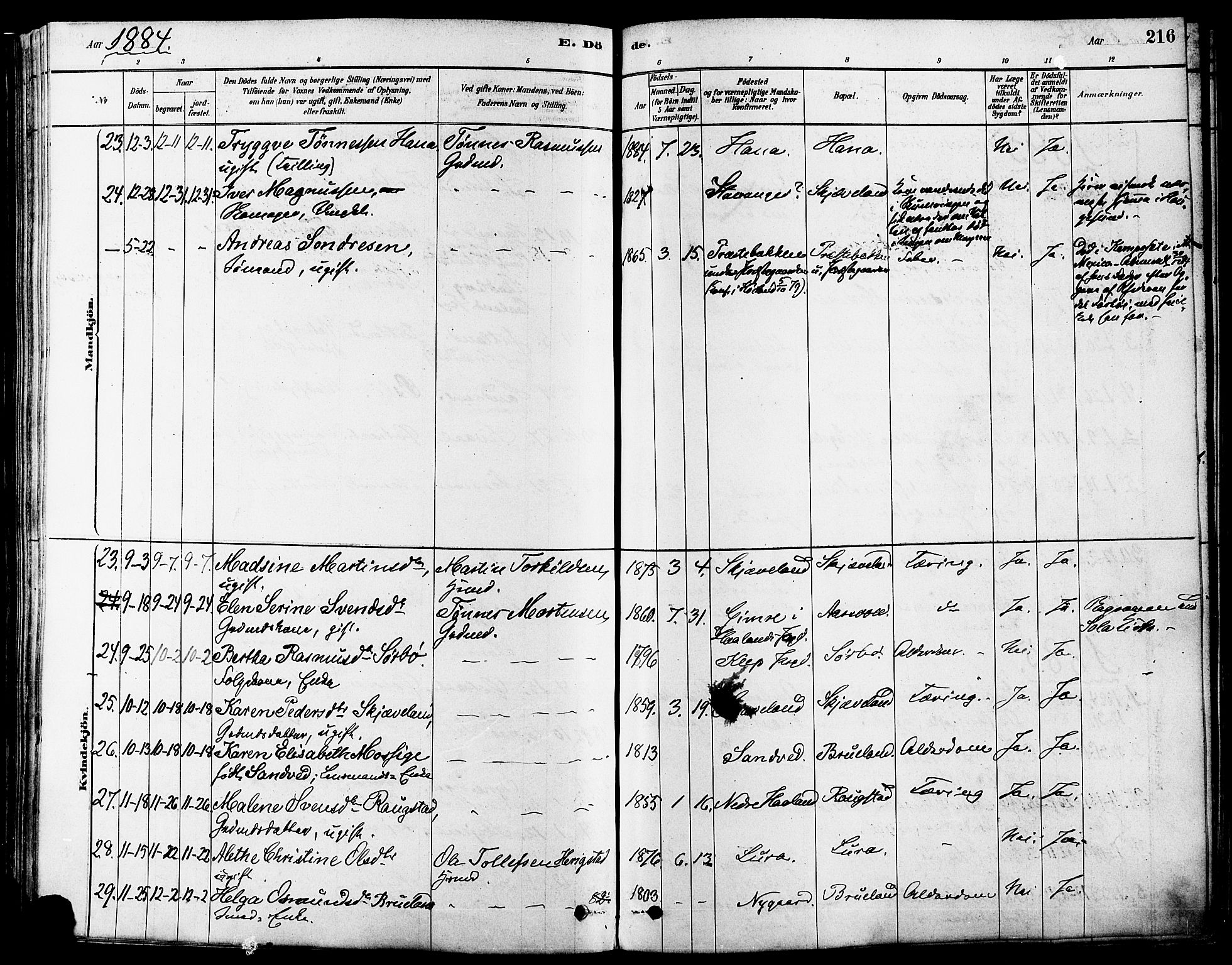 Høyland sokneprestkontor, AV/SAST-A-101799/001/30BA/L0011: Parish register (official) no. A 10, 1878-1888, p. 216