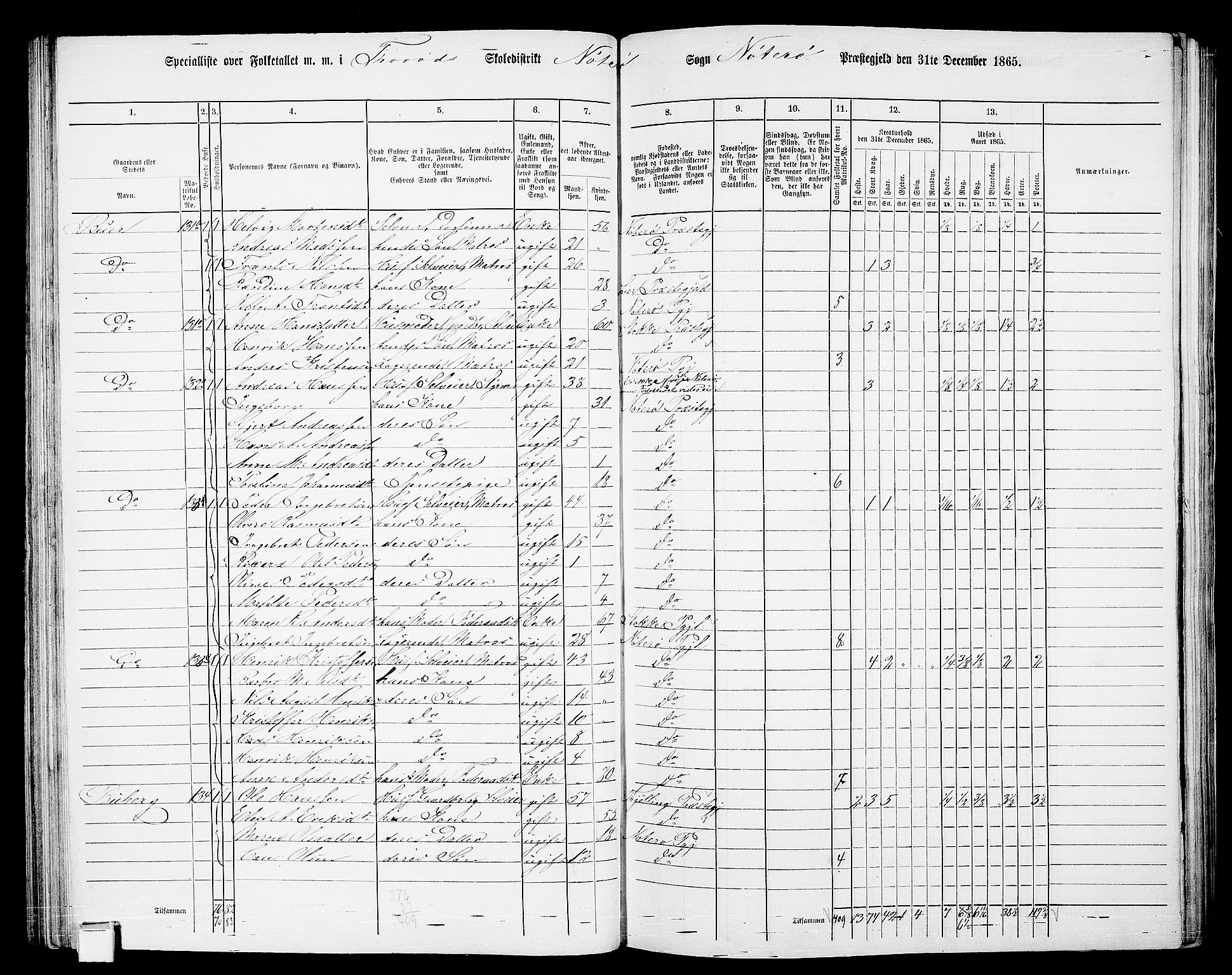 RA, 1865 census for Nøtterøy, 1865, p. 106