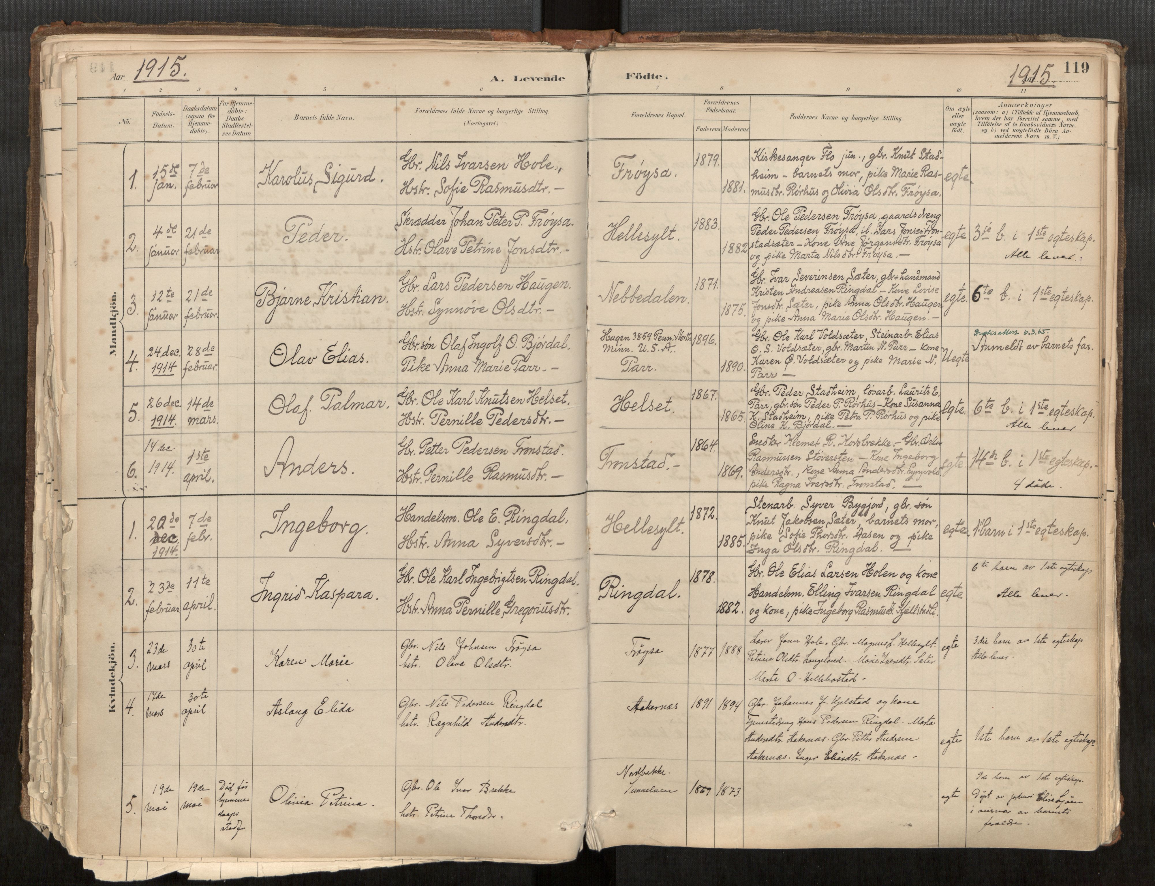 Sunnylven sokneprestkontor, AV/SAT-A-1007/H/Ha/Haa/L0002: Parish register (official) no. 517A09, 1882-1939, p. 119