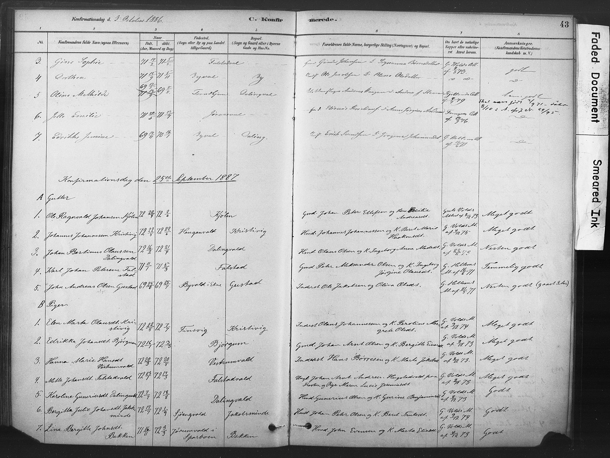 Ministerialprotokoller, klokkerbøker og fødselsregistre - Nord-Trøndelag, AV/SAT-A-1458/719/L0178: Parish register (official) no. 719A01, 1878-1900, p. 43