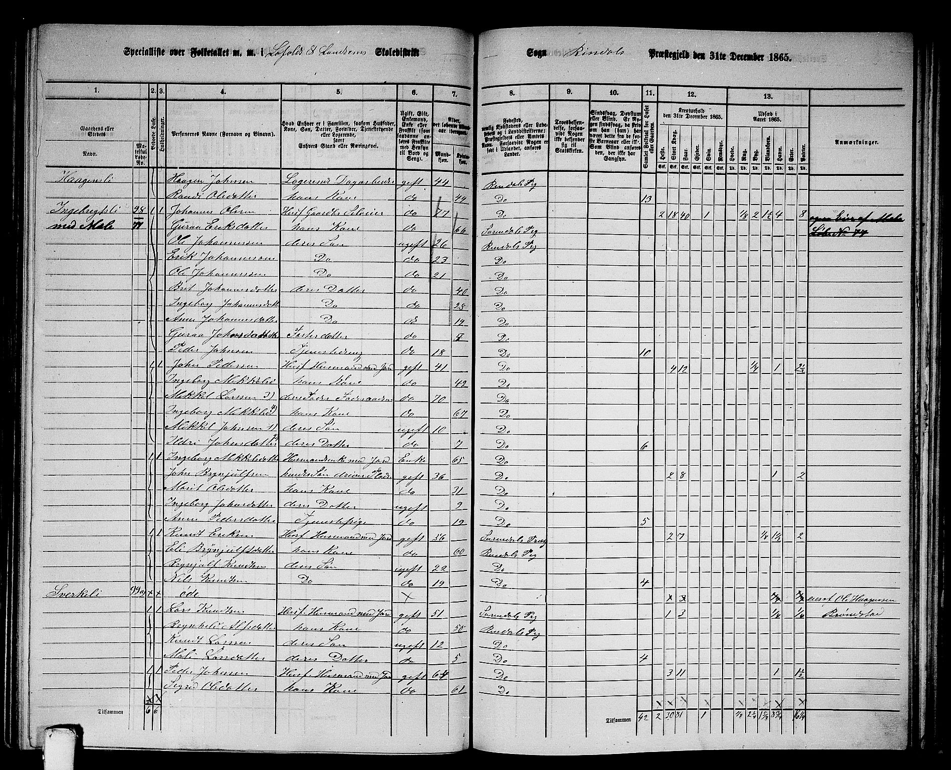 RA, 1865 census for Rindal, 1865, p. 52