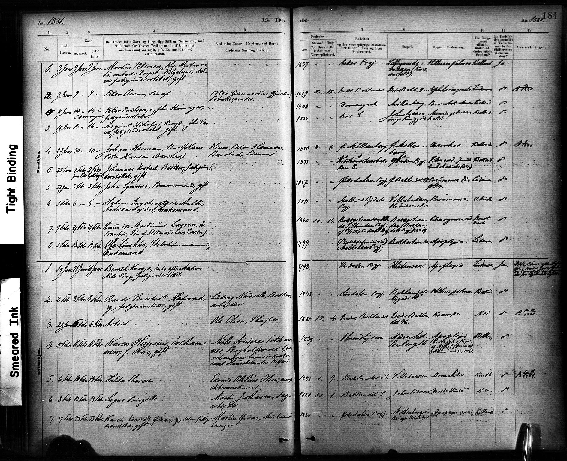 Ministerialprotokoller, klokkerbøker og fødselsregistre - Sør-Trøndelag, SAT/A-1456/604/L0189: Parish register (official) no. 604A10, 1878-1892, p. 184
