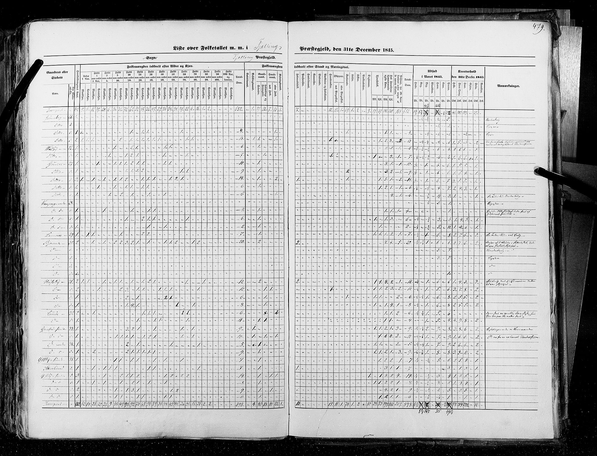 RA, Census 1845, vol. 4: Buskerud amt og Jarlsberg og Larvik amt, 1845, p. 479