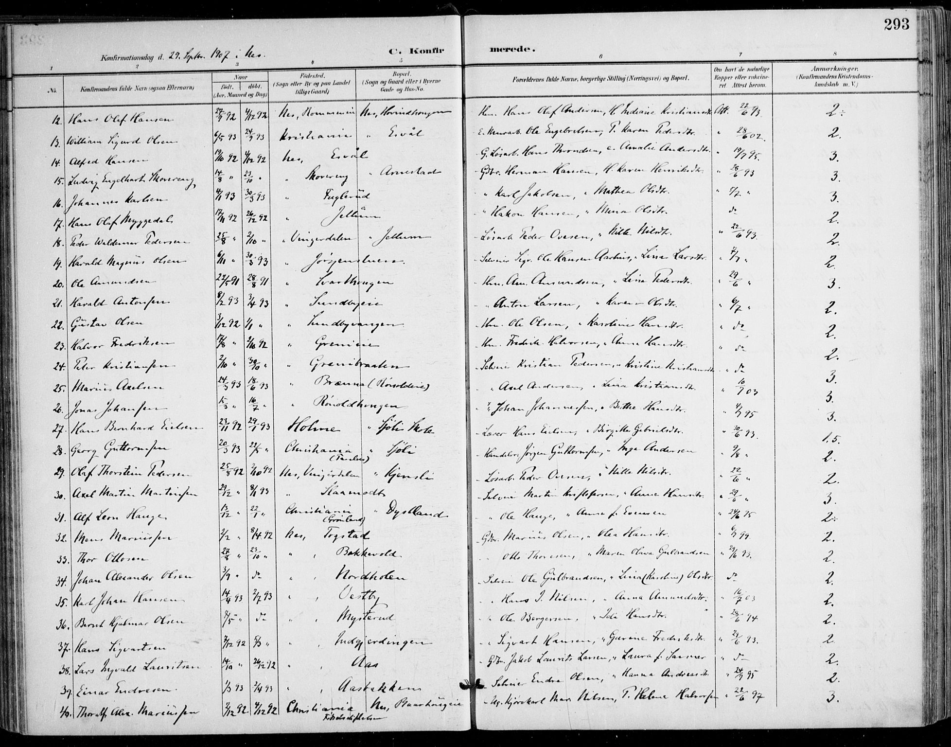 Nes prestekontor Kirkebøker, AV/SAO-A-10410/F/Fa/L0011: Parish register (official) no. I 11, 1899-1918, p. 293