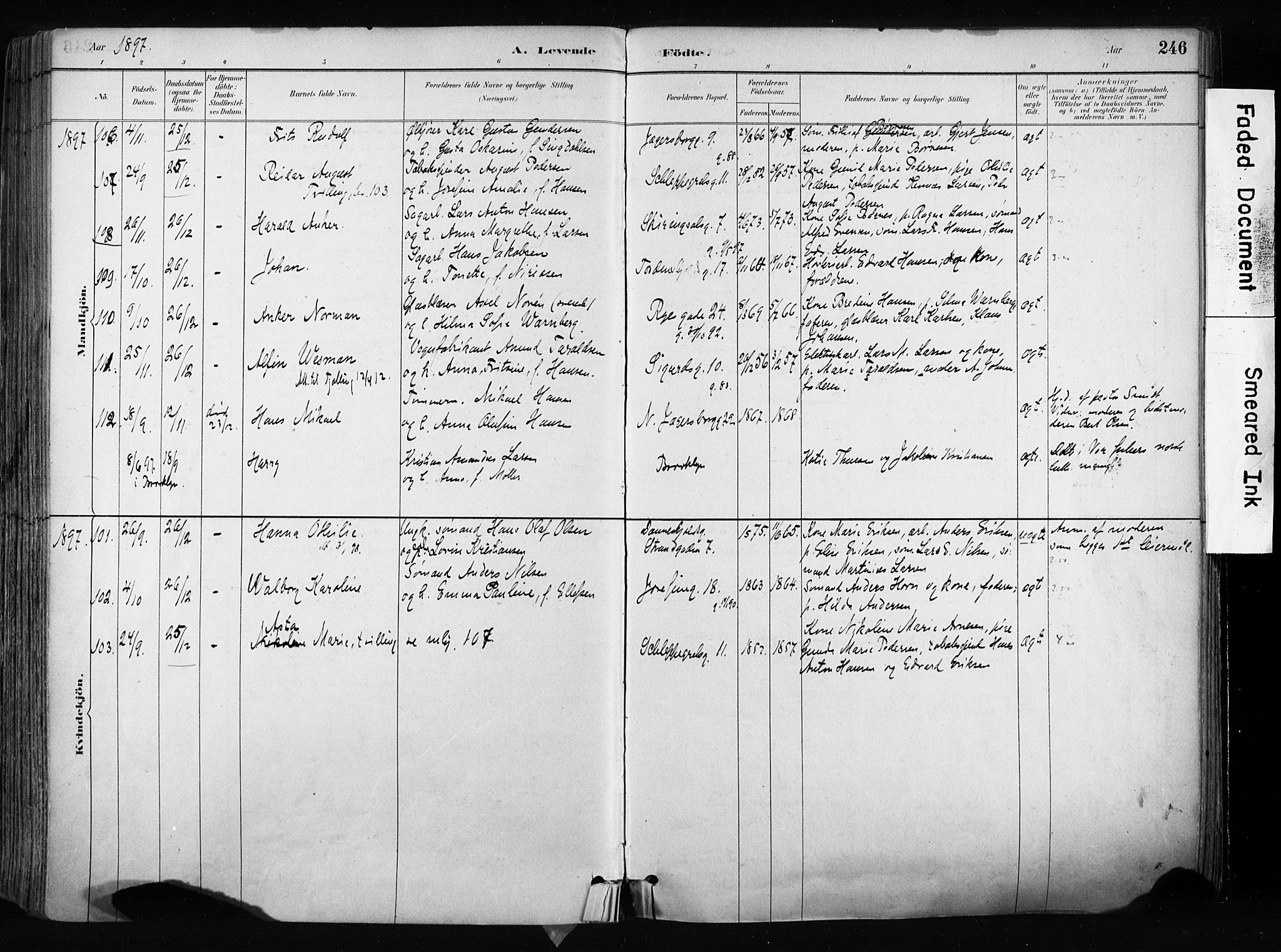 Larvik kirkebøker, SAKO/A-352/F/Fa/L0009: Parish register (official) no. I 9, 1884-1904, p. 246