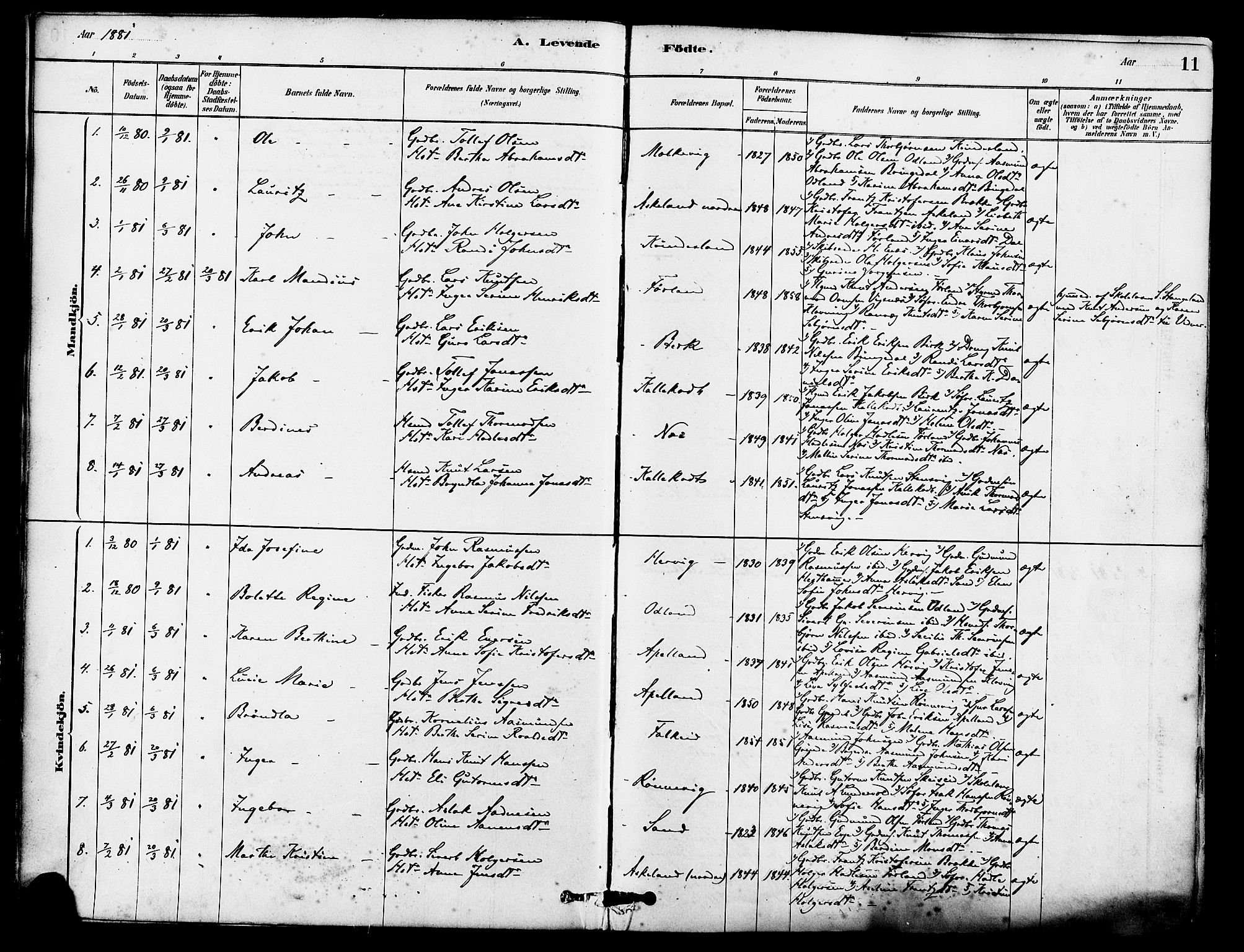 Tysvær sokneprestkontor, SAST/A -101864/H/Ha/Haa/L0006: Parish register (official) no. A 6, 1878-1896, p. 11