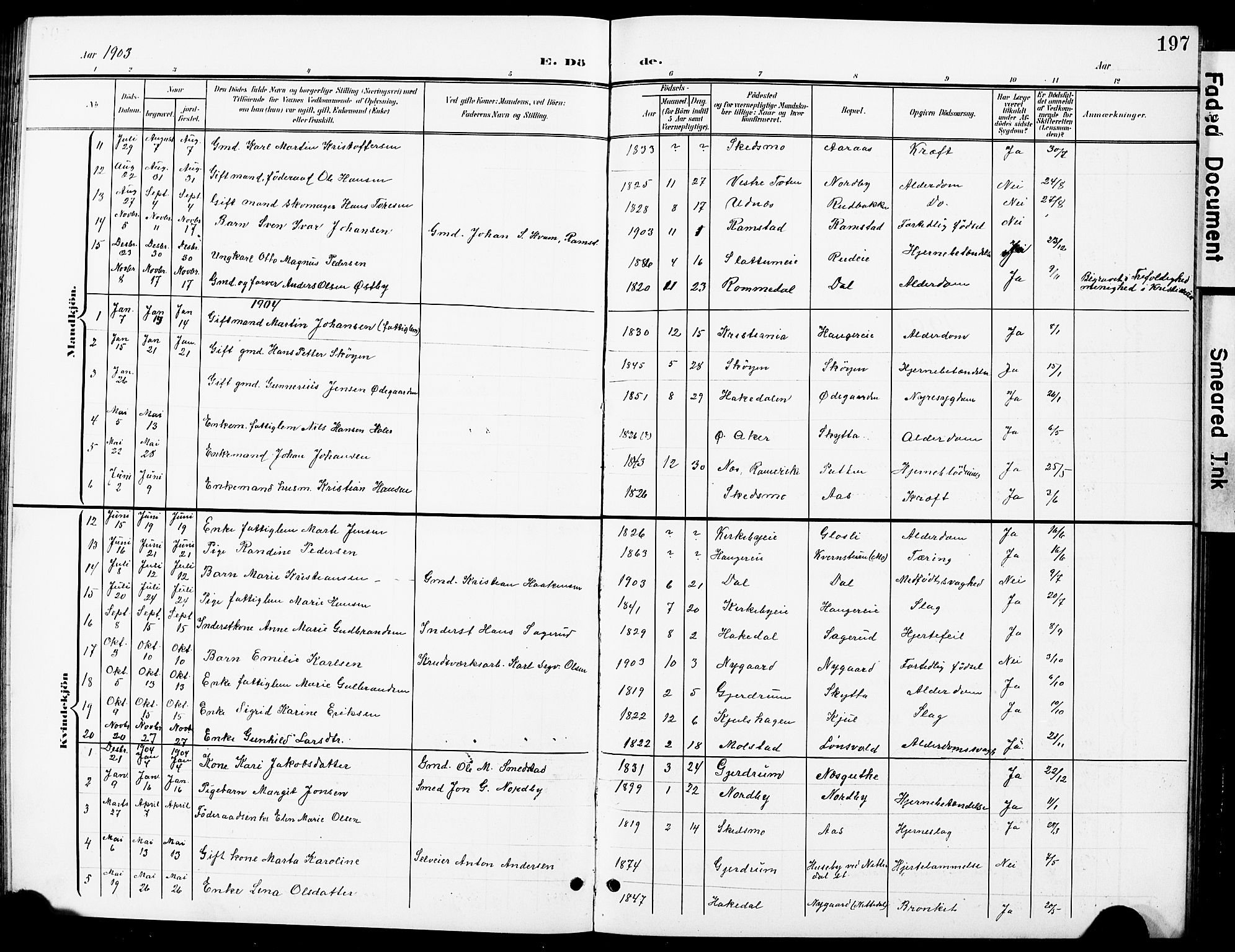 Nittedal prestekontor Kirkebøker, AV/SAO-A-10365a/G/Ga/L0003: Parish register (copy) no. I 3, 1902-1929, p. 197