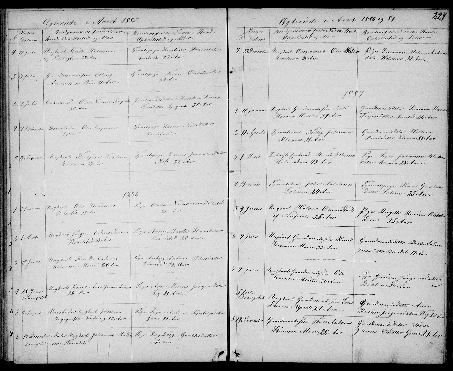 Drangedal kirkebøker, SAKO/A-258/G/Gb/L0001: Parish register (copy) no. II 1, 1856-1894, p. 227