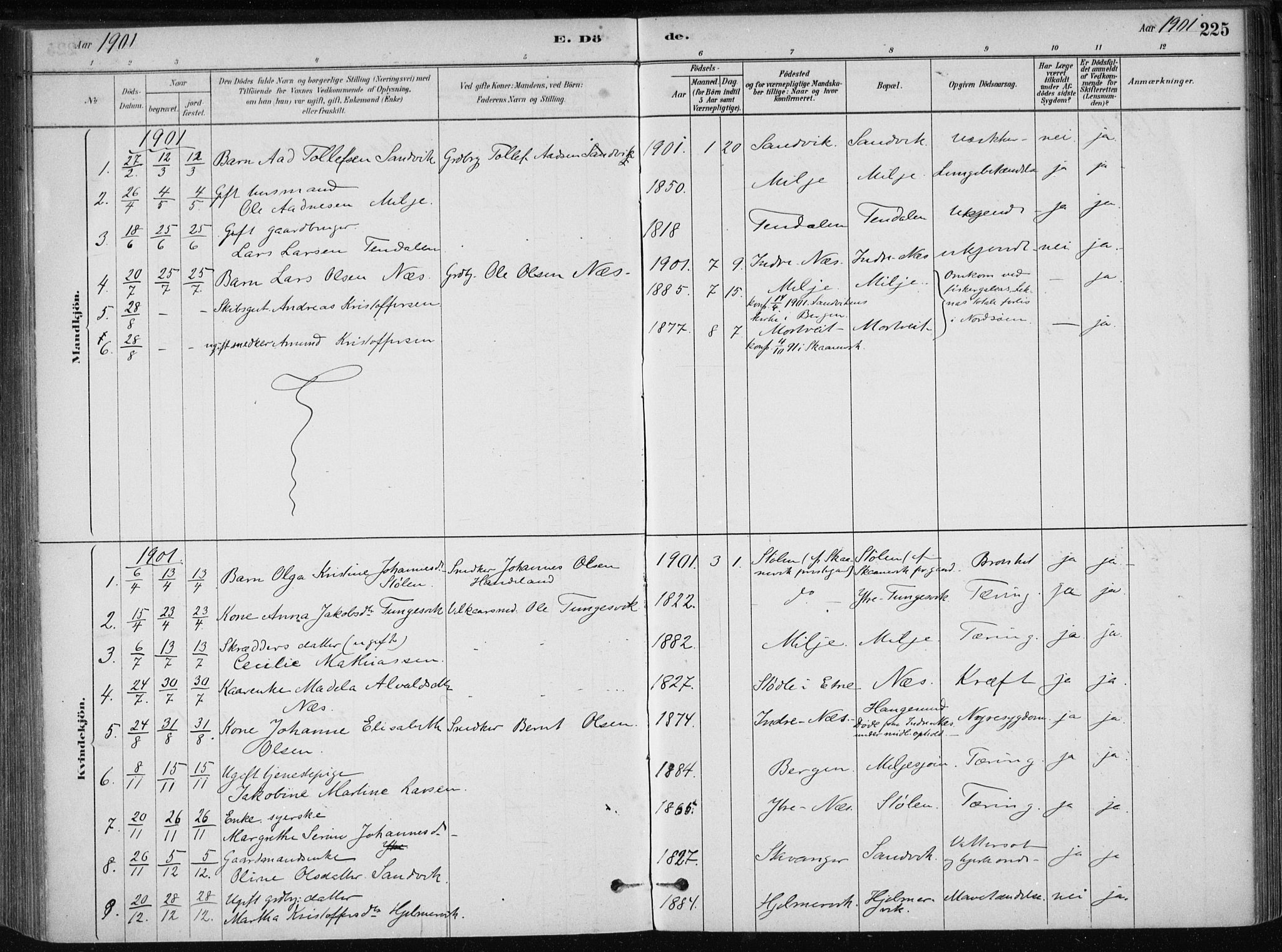 Skånevik sokneprestembete, AV/SAB-A-77801/H/Haa: Parish register (official) no. B 1, 1879-1914, p. 225