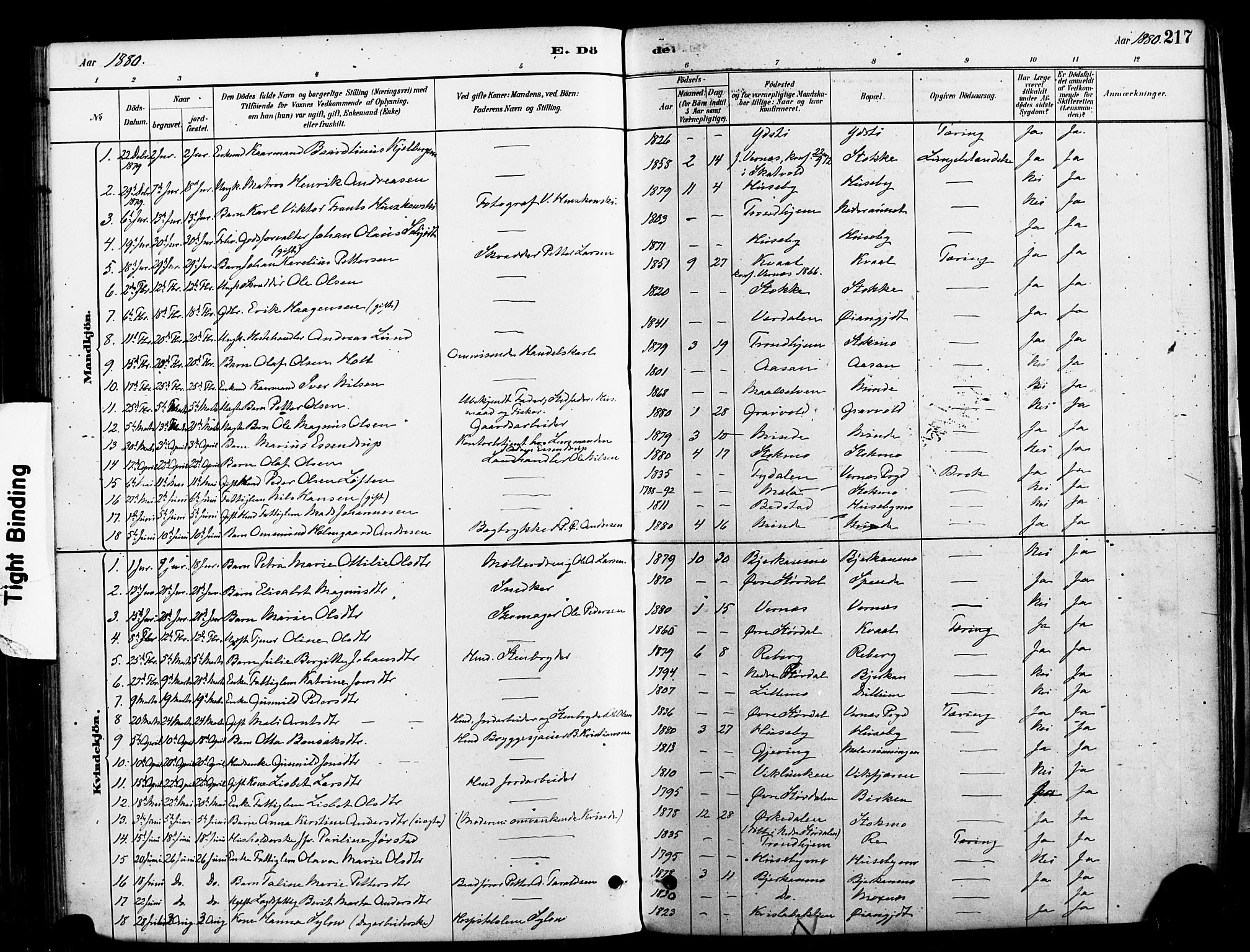 Ministerialprotokoller, klokkerbøker og fødselsregistre - Nord-Trøndelag, SAT/A-1458/709/L0077: Parish register (official) no. 709A17, 1880-1895, p. 217