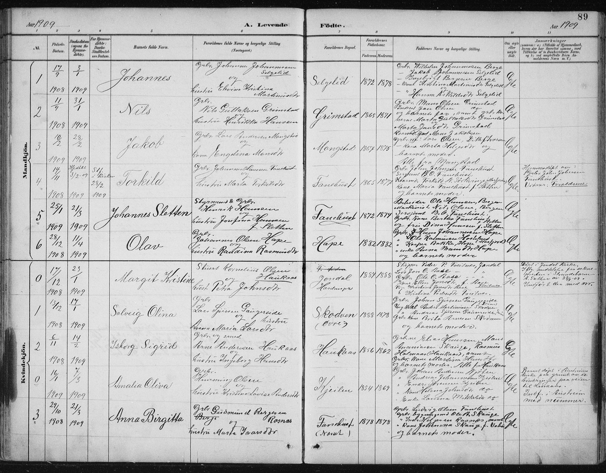Lindås Sokneprestembete, SAB/A-76701/H/Hab: Parish register (copy) no. B 3, 1886-1914, p. 89