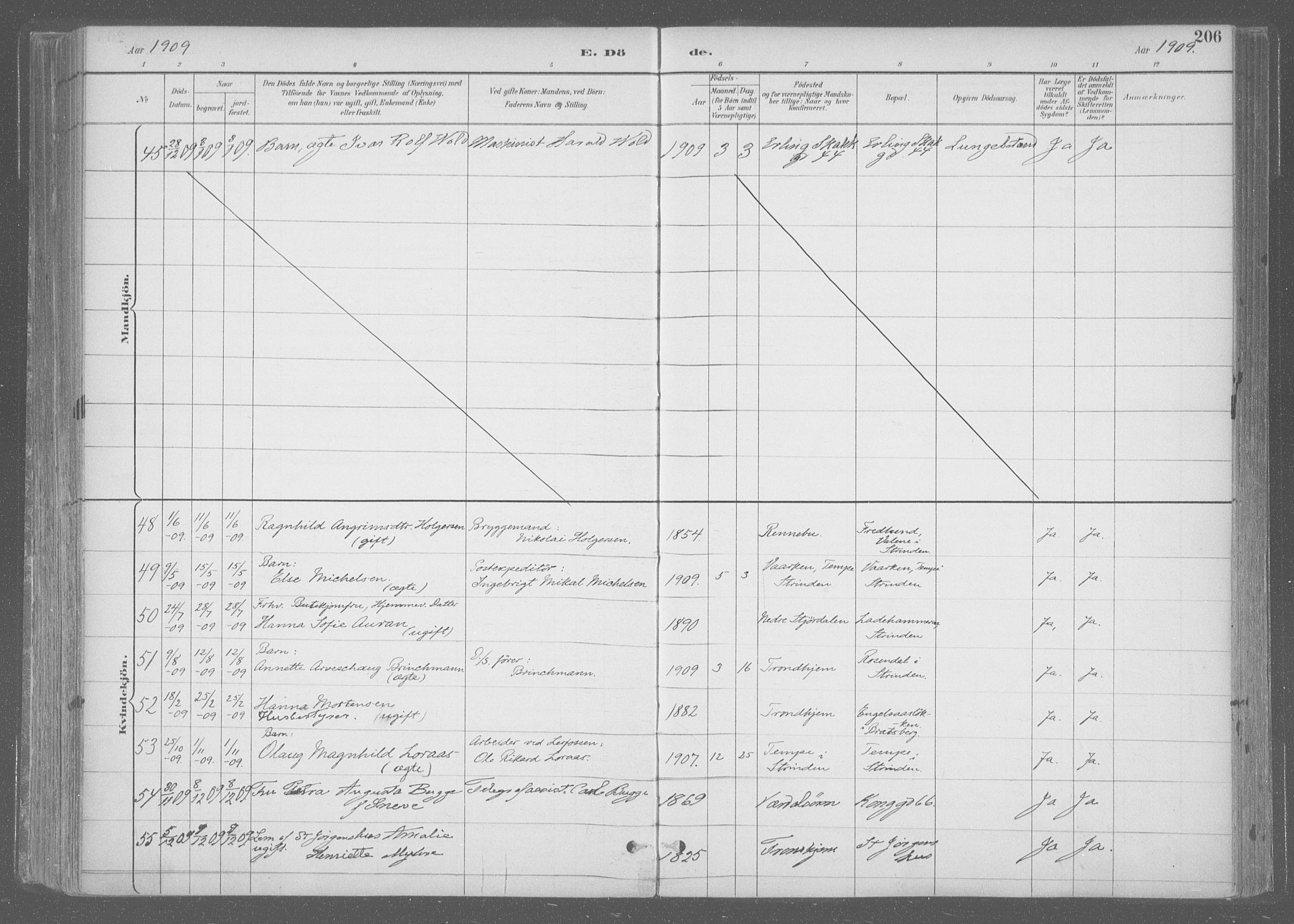 Ministerialprotokoller, klokkerbøker og fødselsregistre - Sør-Trøndelag, SAT/A-1456/601/L0064: Parish register (official) no. 601A31, 1891-1911, p. 206