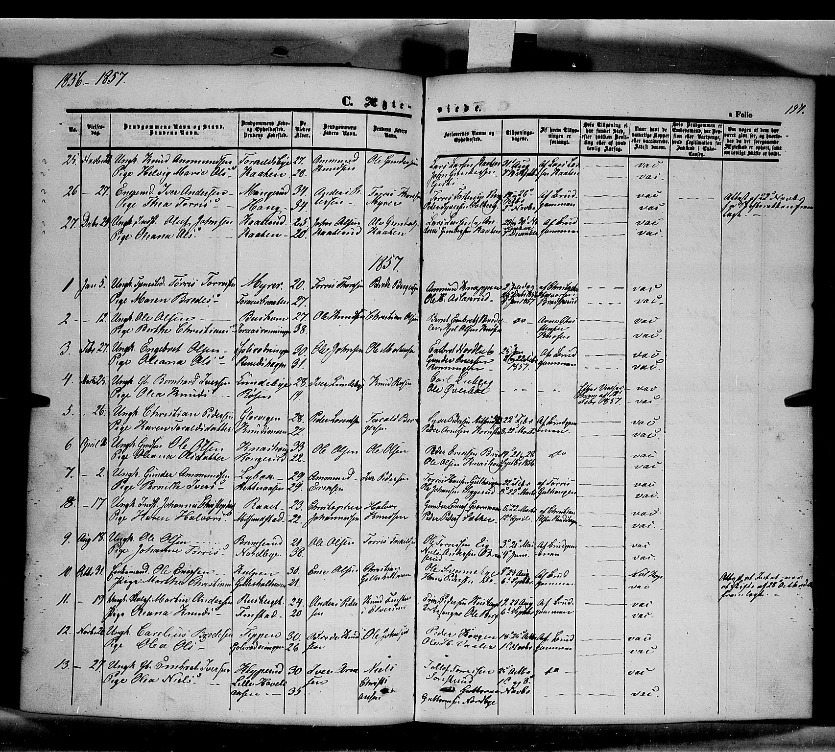 Våler prestekontor, Hedmark, AV/SAH-PREST-040/H/Ha/Haa/L0001: Parish register (official) no. 1, 1849-1878, p. 197