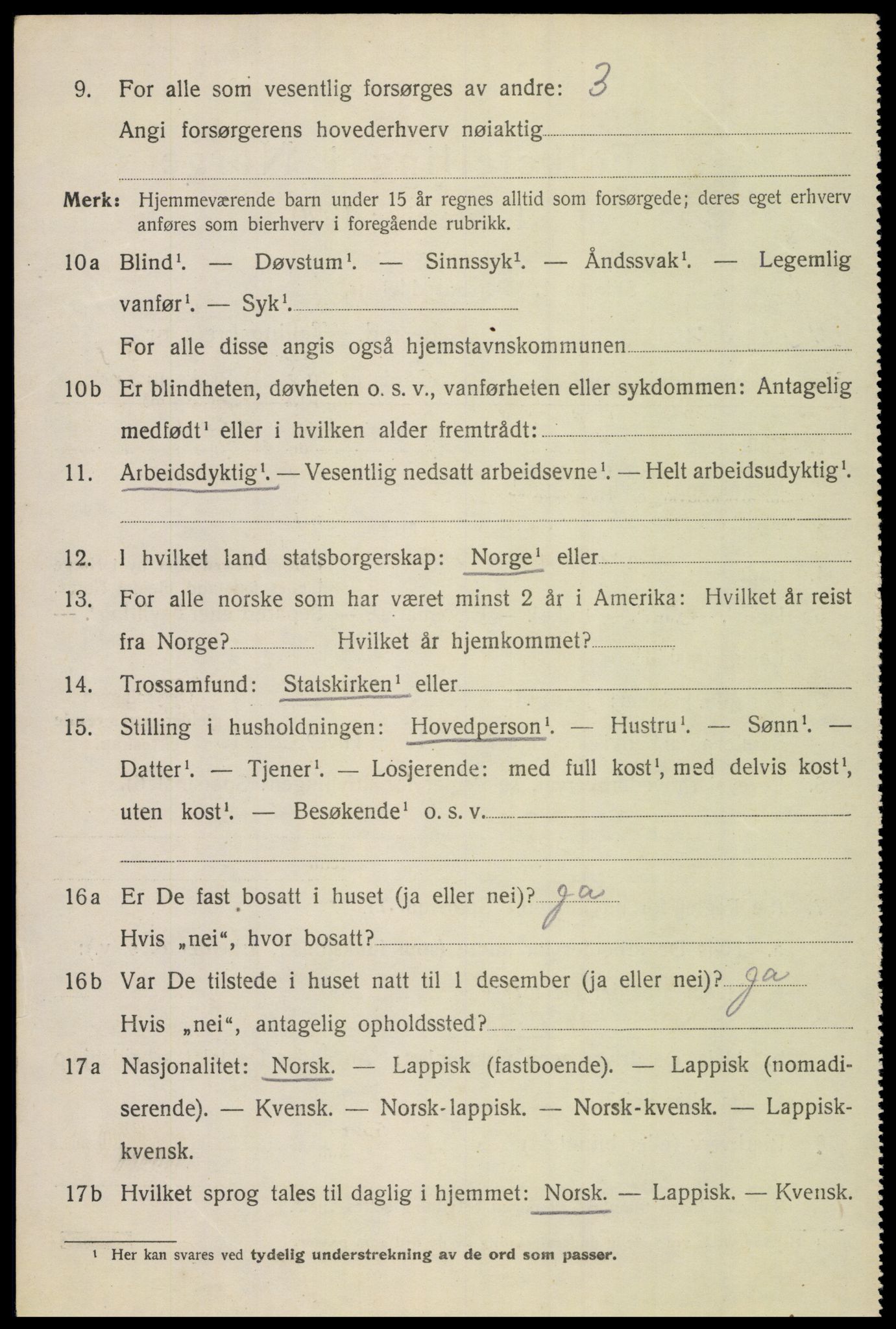 SAT, 1920 census for Bodin, 1920, p. 13037