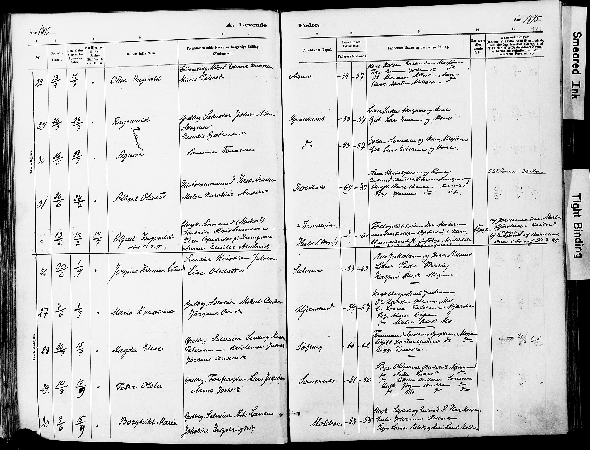 Ministerialprotokoller, klokkerbøker og fødselsregistre - Nordland, AV/SAT-A-1459/820/L0295: Parish register (official) no. 820A16, 1880-1896, p. 141