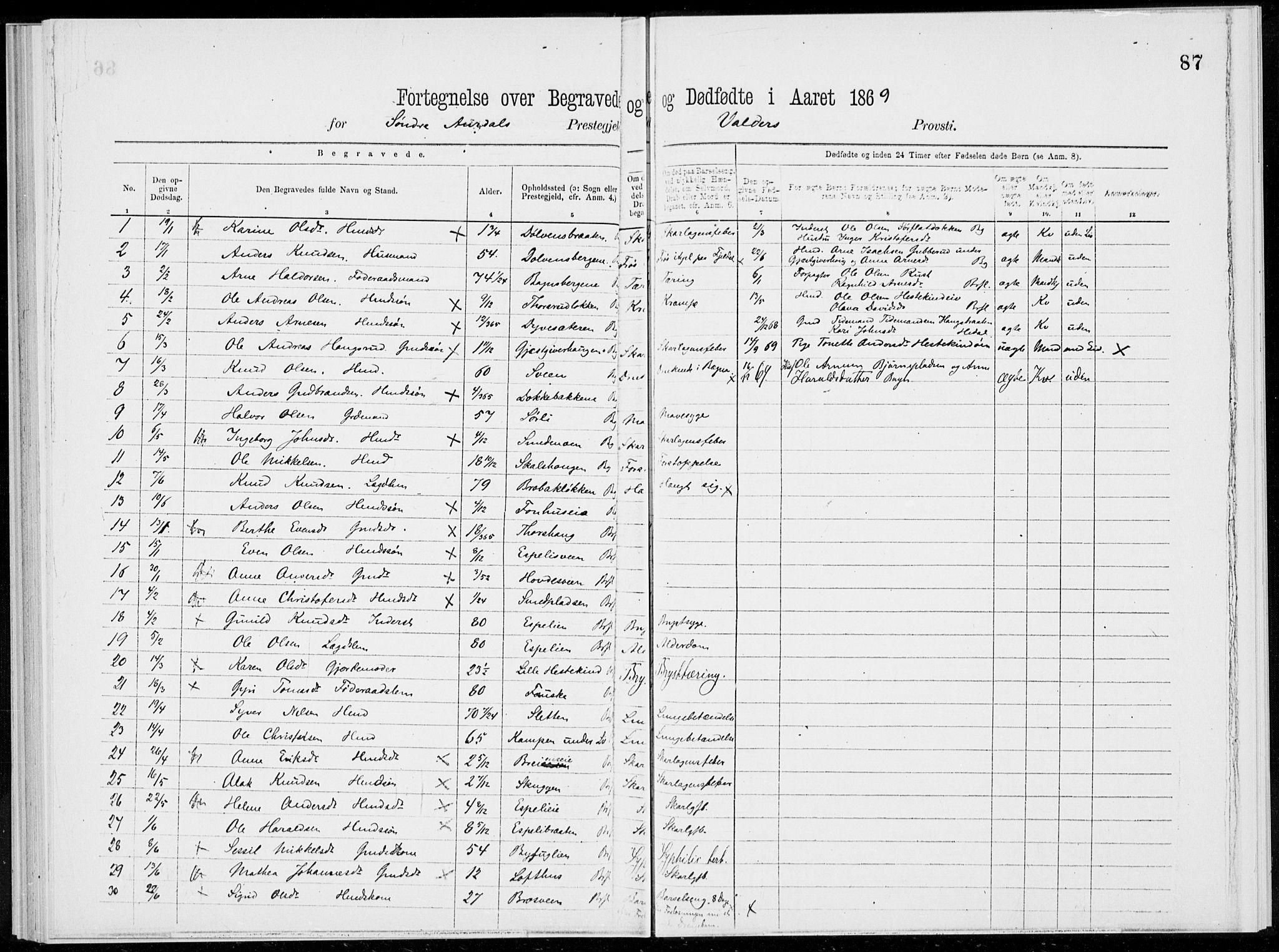 Sør-Aurdal prestekontor, AV/SAH-PREST-128/H/Ha/Haa/L0000: Parish register (official), 1866-1872, p. 87