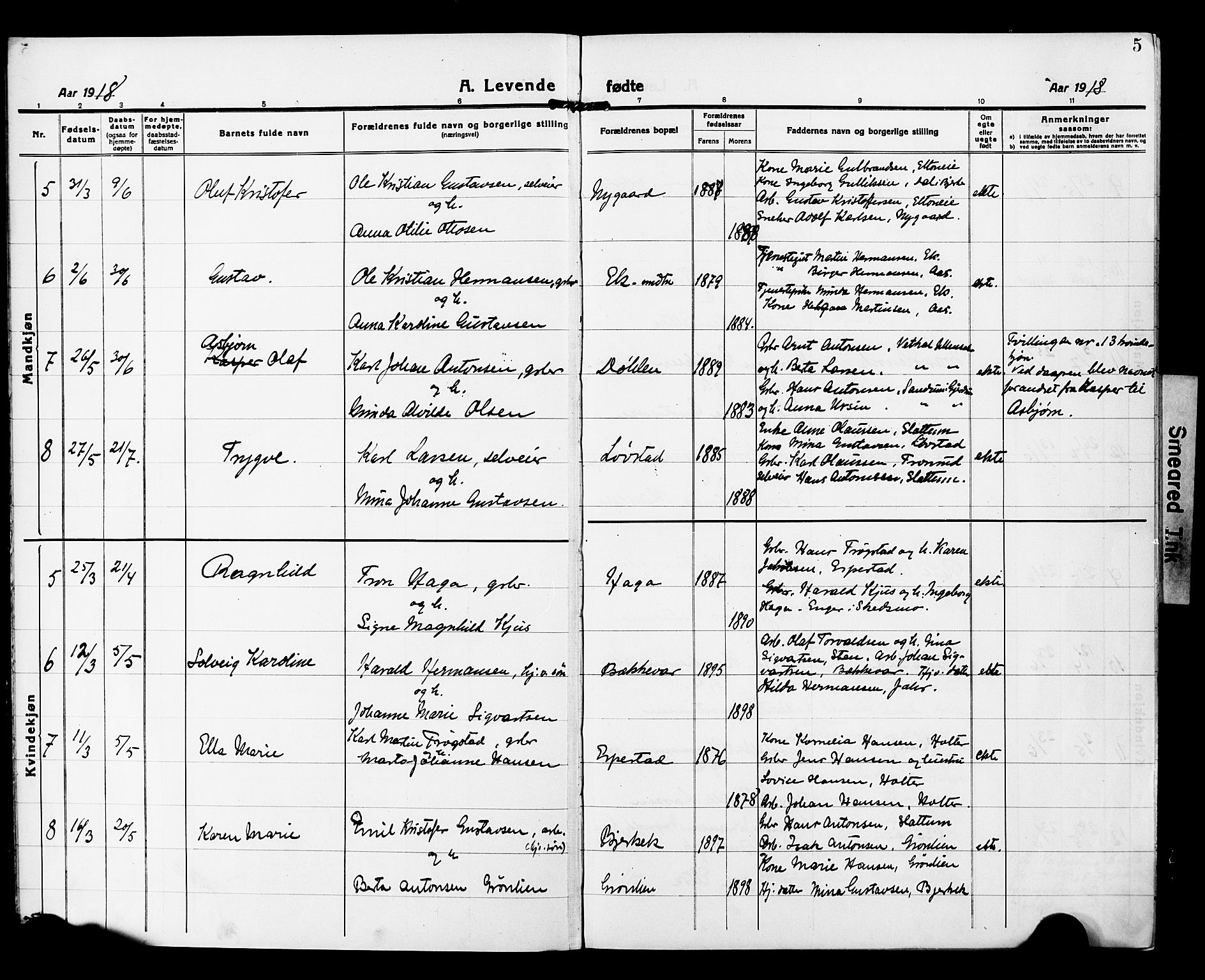 Nannestad prestekontor Kirkebøker, AV/SAO-A-10414a/G/Gb/L0002: Parish register (copy) no. II 2, 1918-1929, p. 5