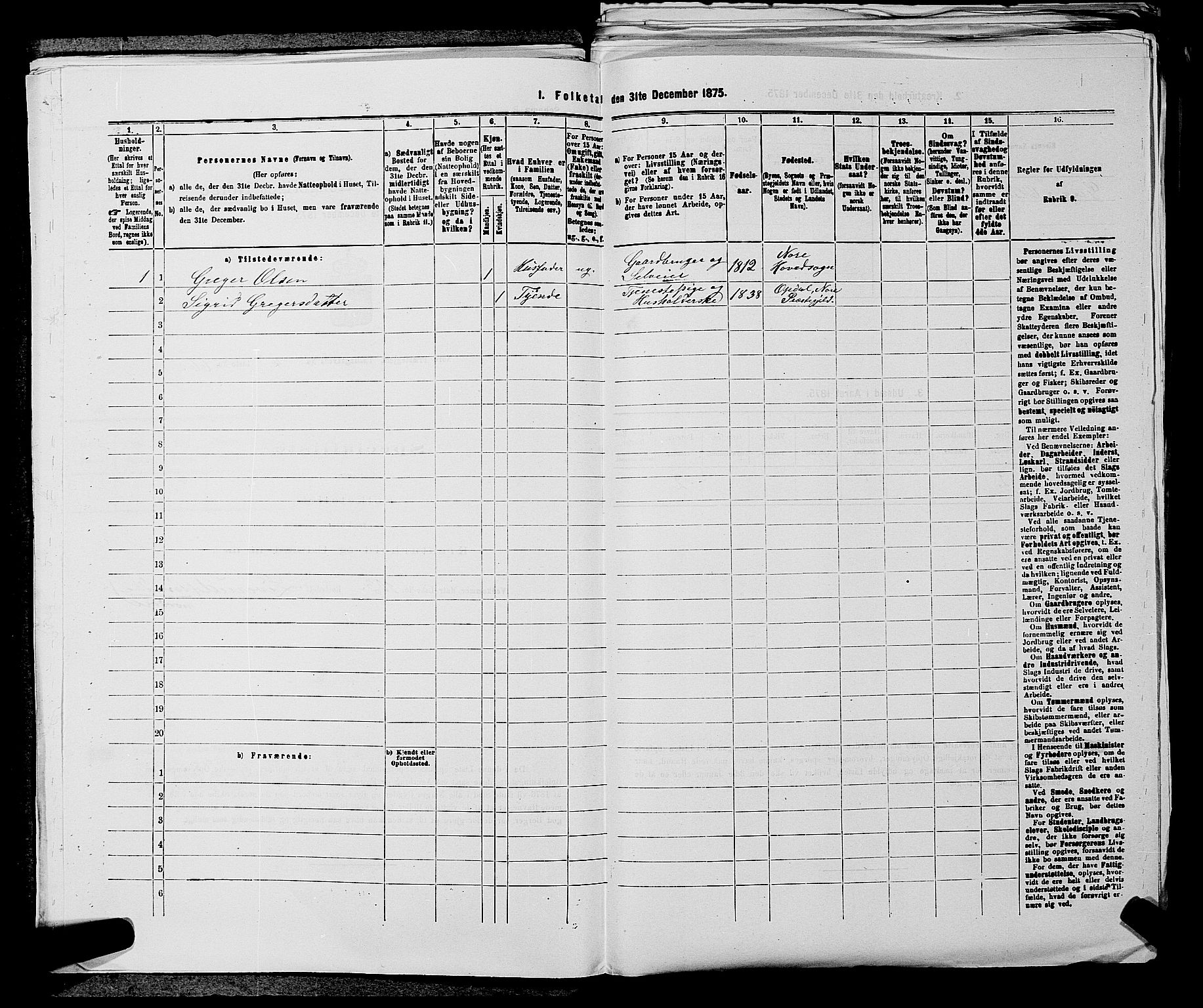 SAKO, 1875 census for 0633P Nore, 1875, p. 489