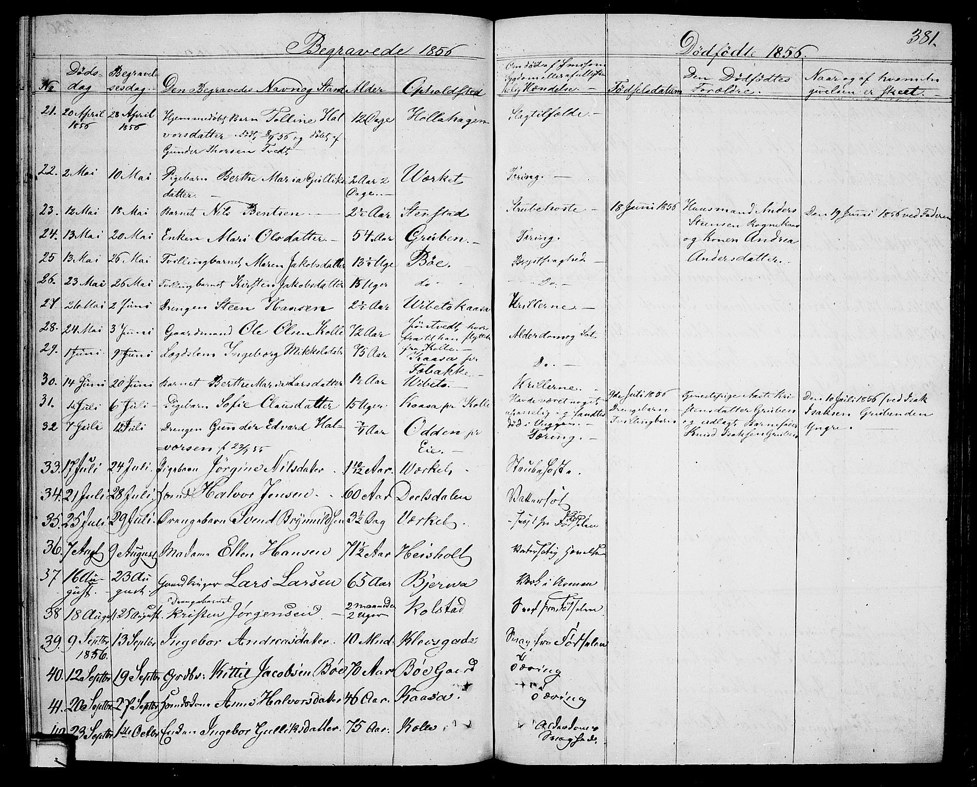 Holla kirkebøker, SAKO/A-272/G/Ga/L0003: Parish register (copy) no. I 3, 1849-1866, p. 381