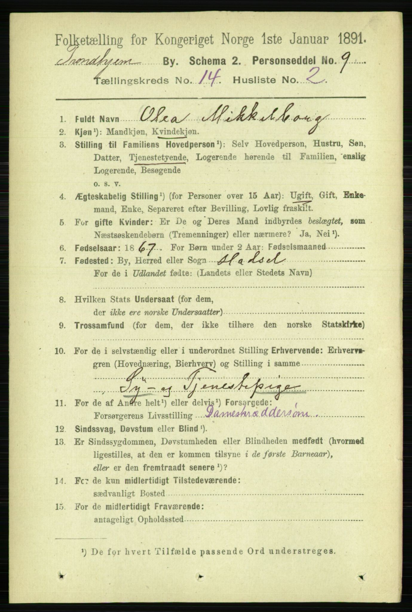 RA, 1891 census for 1601 Trondheim, 1891, p. 10917