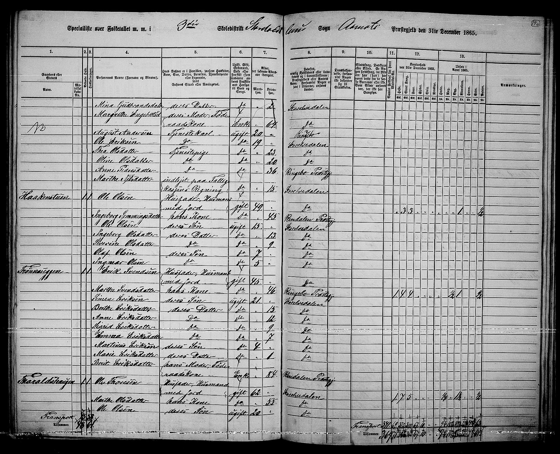 RA, 1865 census for Åmot, 1865, p. 166