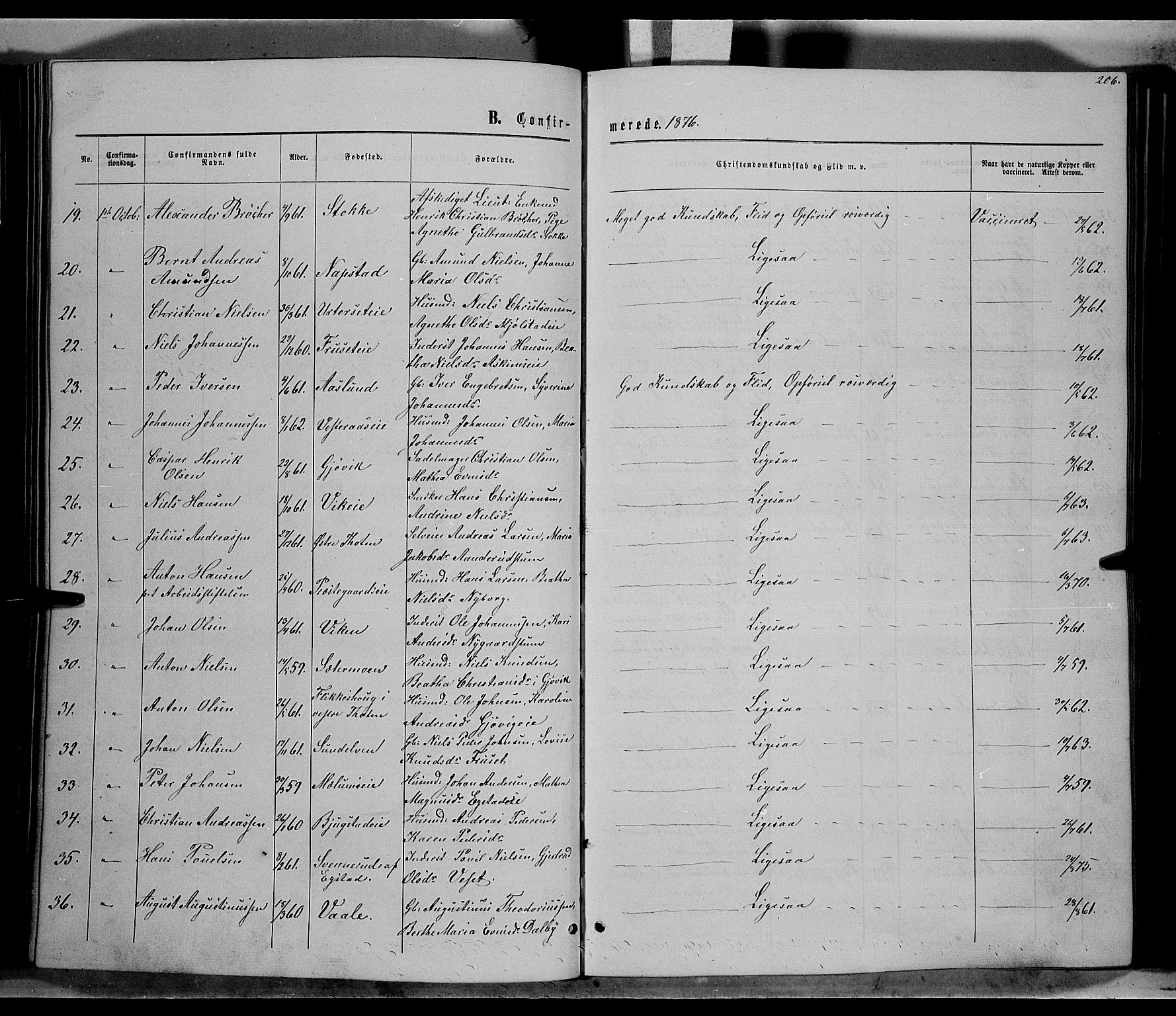 Vardal prestekontor, SAH/PREST-100/H/Ha/Hab/L0006: Parish register (copy) no. 6, 1869-1881, p. 206
