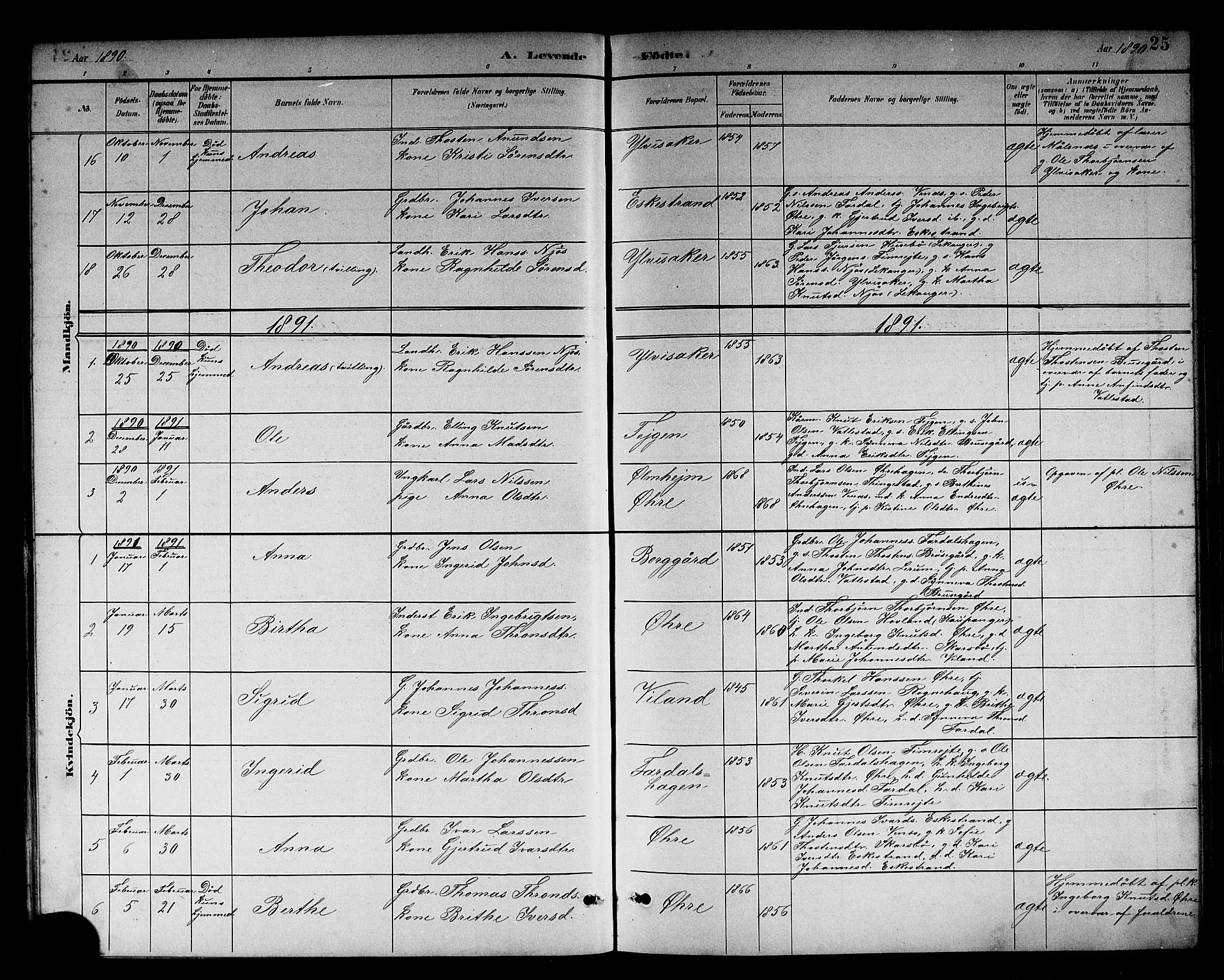 Sogndal sokneprestembete, AV/SAB-A-81301/H/Hab/Habc/L0002: Parish register (copy) no. C 2, 1884-1910, p. 25