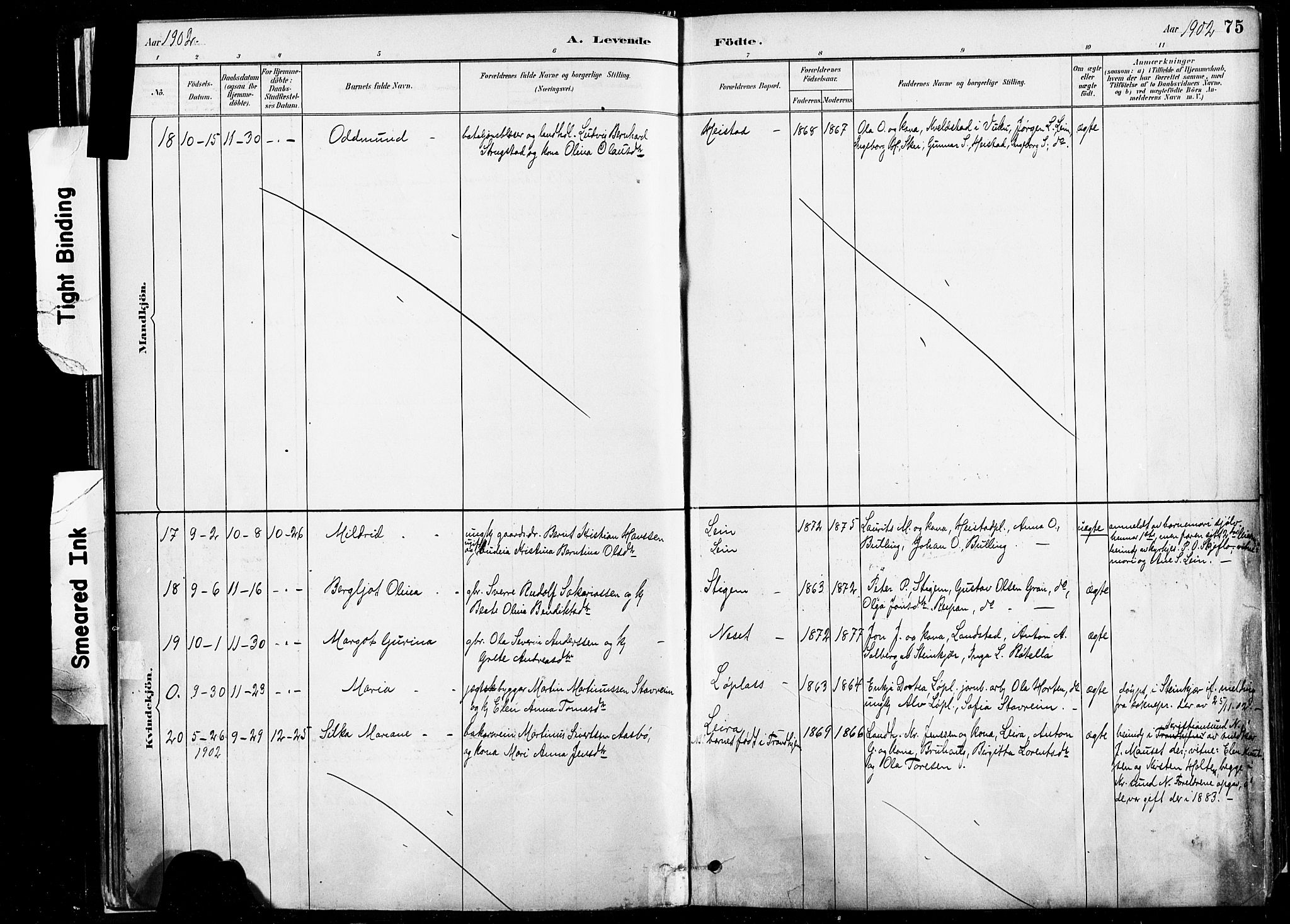 Ministerialprotokoller, klokkerbøker og fødselsregistre - Nord-Trøndelag, SAT/A-1458/735/L0351: Parish register (official) no. 735A10, 1884-1908, p. 75