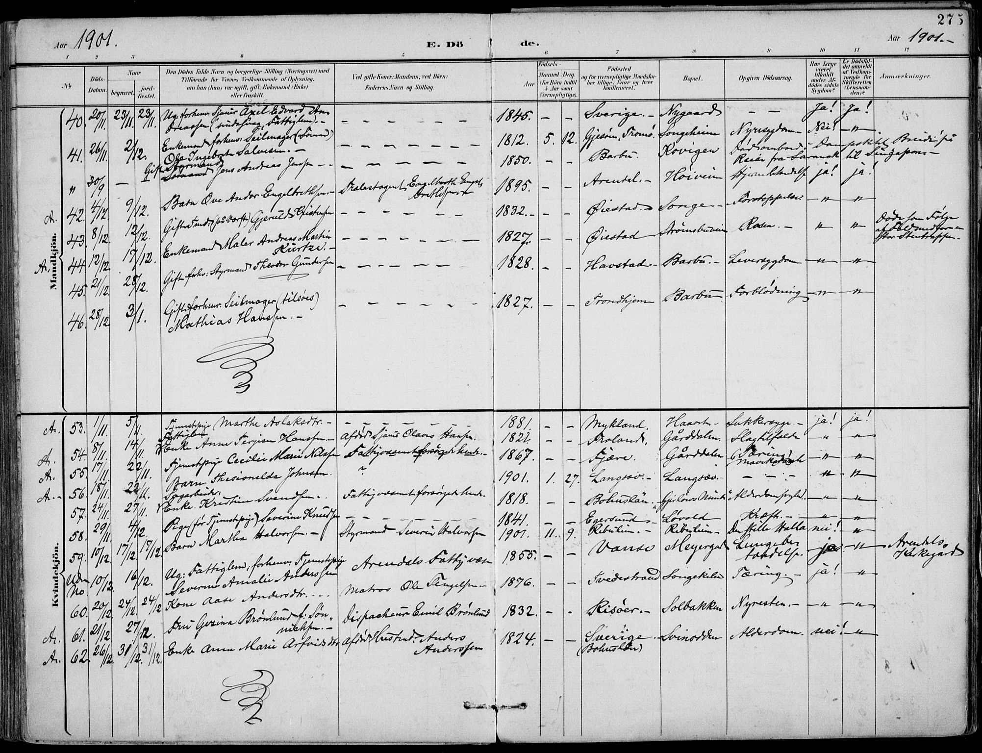 Barbu sokneprestkontor, AV/SAK-1111-0003/F/Fa/L0005: Parish register (official) no. A 5, 1899-1909, p. 275