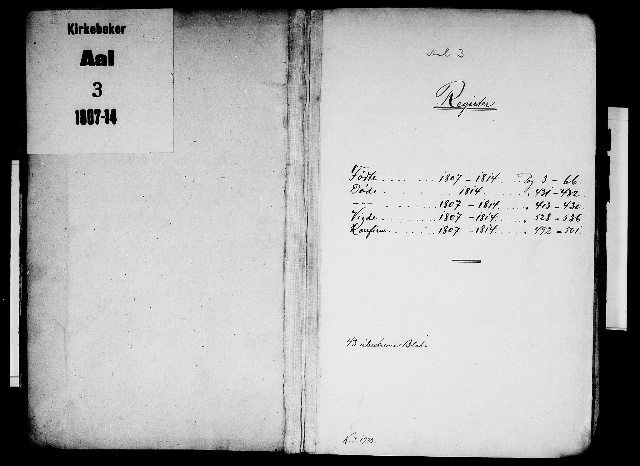 Ål kirkebøker, SAKO/A-249/F/Fa/L0003: Parish register (official) no. I 3, 1807-1814