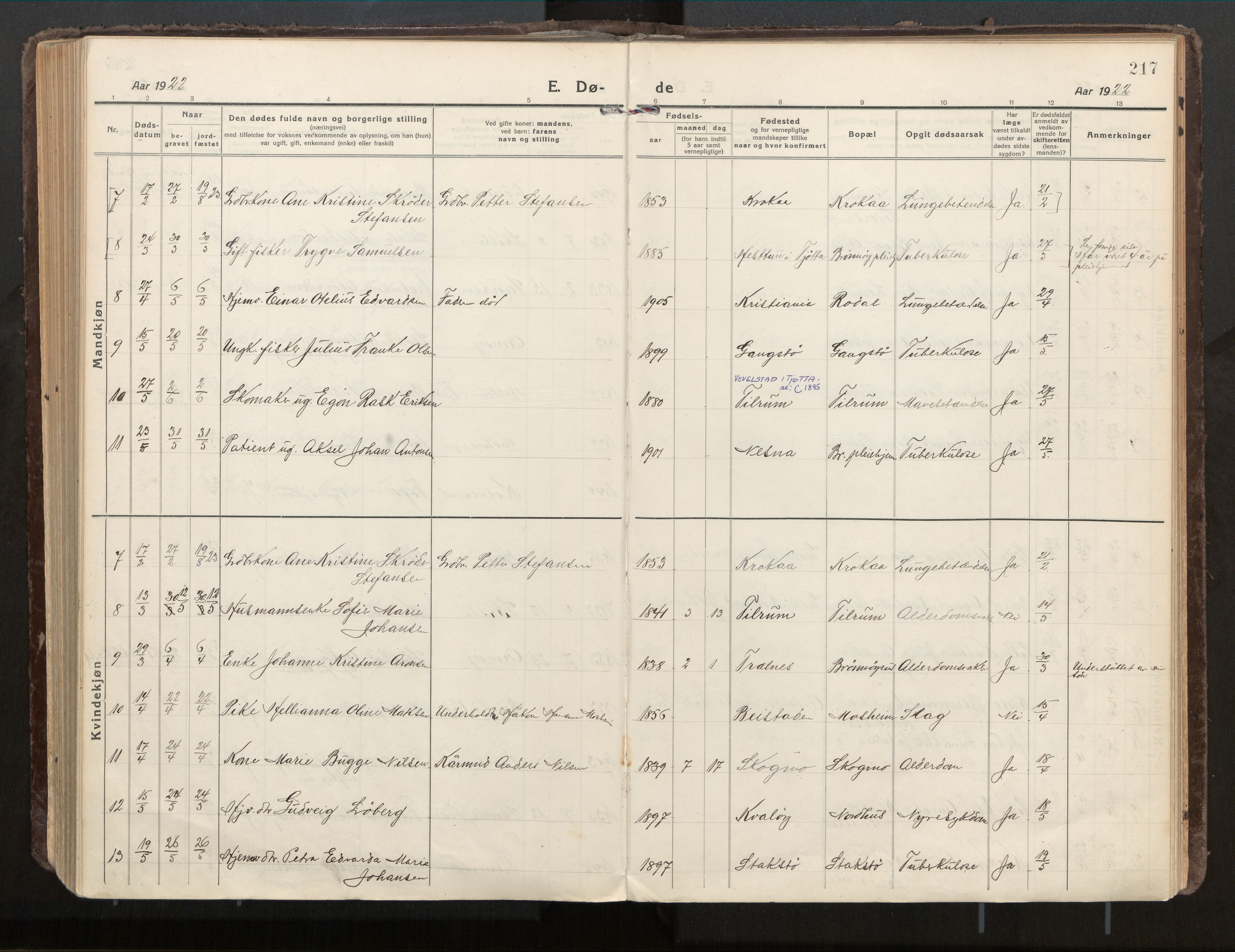 Ministerialprotokoller, klokkerbøker og fødselsregistre - Nordland, SAT/A-1459/813/L0207a: Parish register (official) no. 813A18, 1919-1927, p. 217