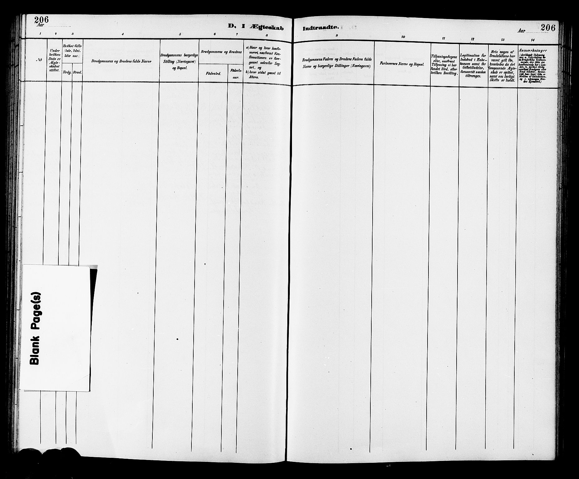 Fiskum kirkebøker, AV/SAKO-A-15/G/Ga/L0005: Parish register (copy) no. 5, 1887-1912, p. 206