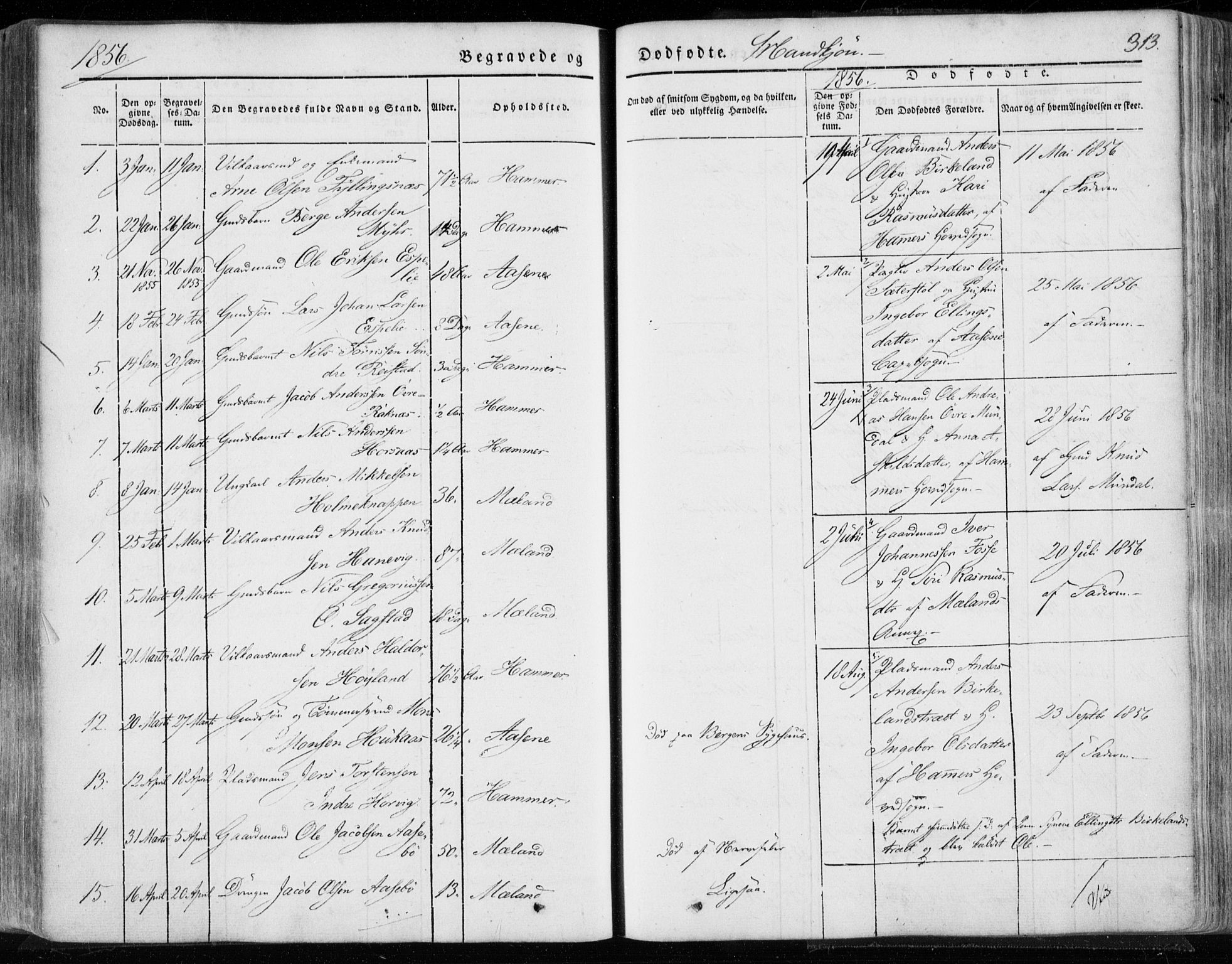 Hamre sokneprestembete, SAB/A-75501/H/Ha/Haa/Haaa/L0013: Parish register (official) no. A 13, 1846-1857, p. 313