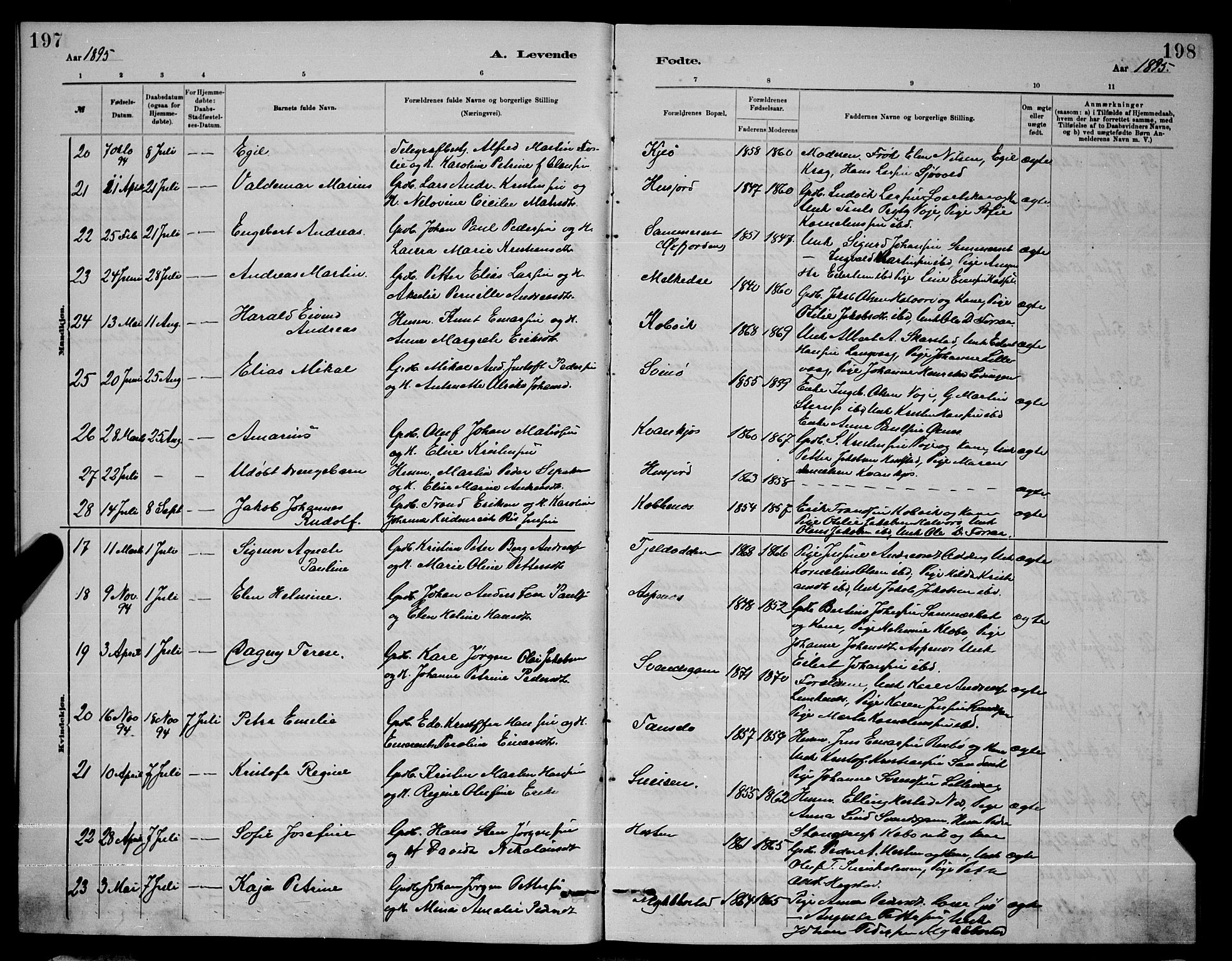 Ministerialprotokoller, klokkerbøker og fødselsregistre - Nordland, AV/SAT-A-1459/872/L1047: Parish register (copy) no. 872C03, 1880-1897, p. 197-198