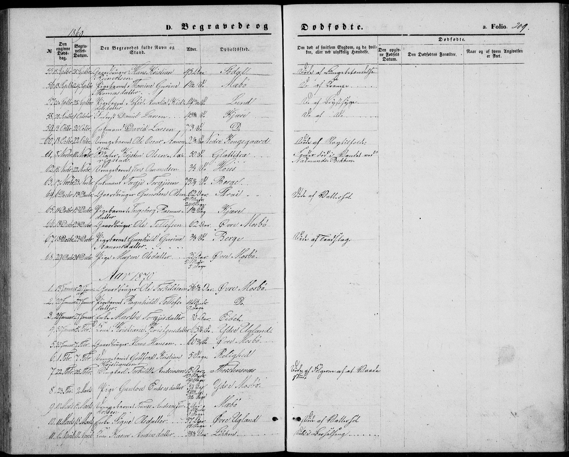 Oddernes sokneprestkontor, SAK/1111-0033/F/Fb/Fba/L0007: Parish register (copy) no. B 7, 1869-1887, p. 209