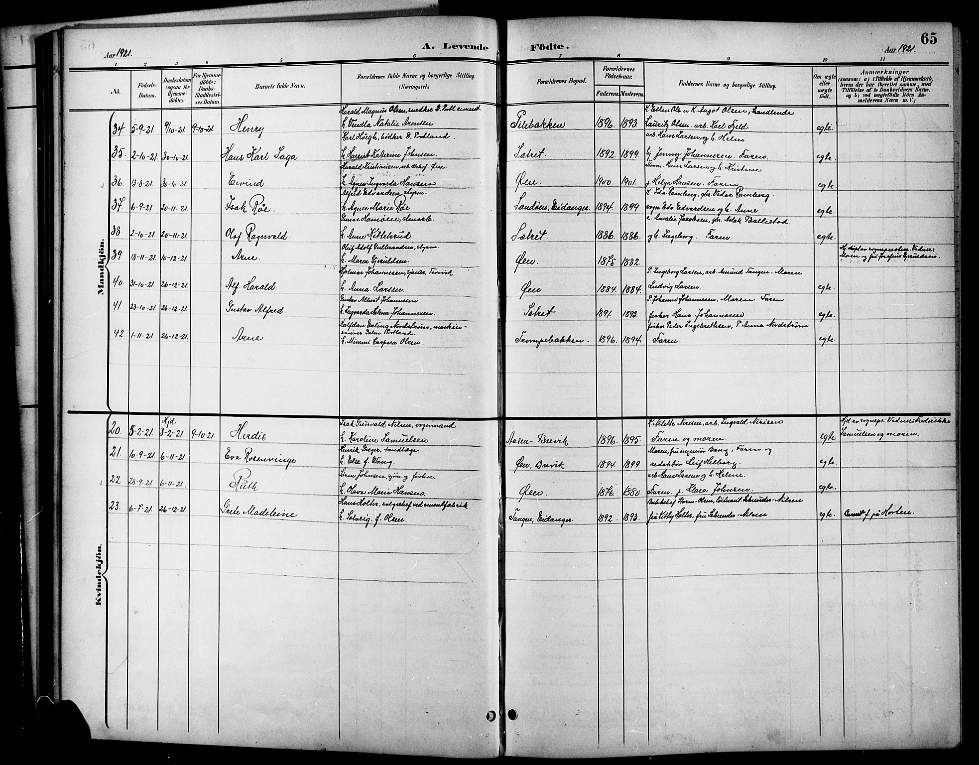 Brevik kirkebøker, SAKO/A-255/G/Ga/L0005: Parish register (copy) no. 5, 1901-1924, p. 65