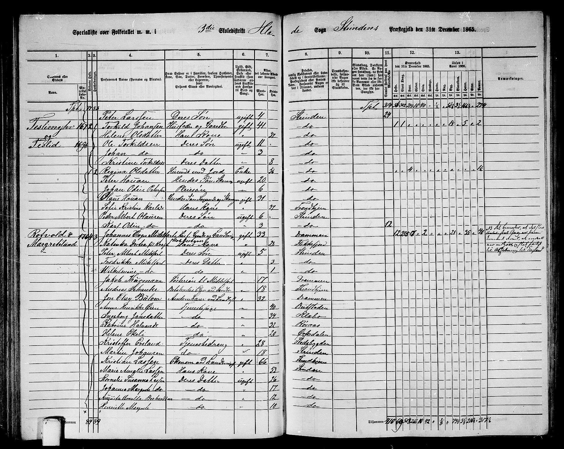 RA, 1865 census for Strinda, 1865, p. 87