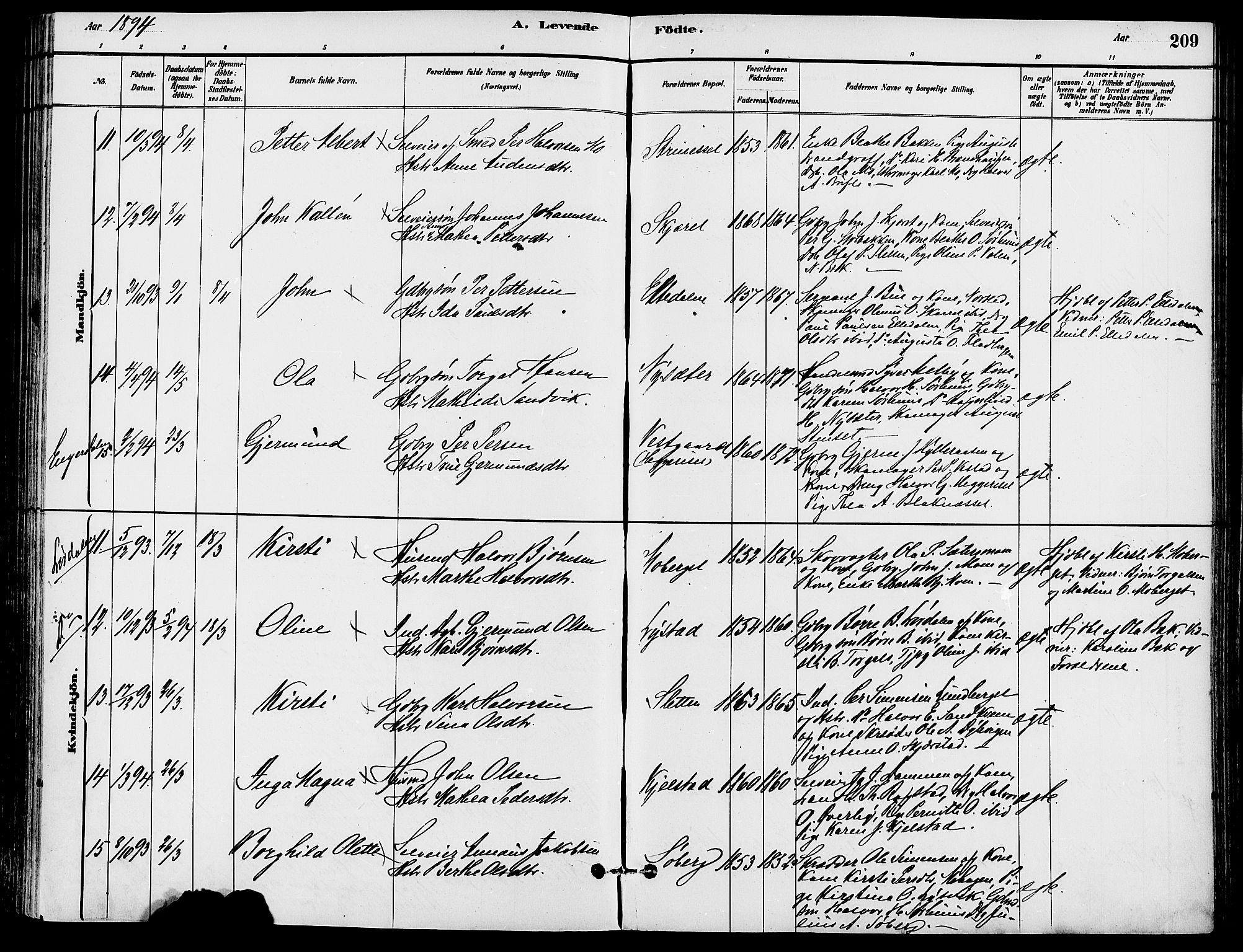 Trysil prestekontor, AV/SAH-PREST-046/H/Ha/Haa/L0008: Parish register (official) no. 8, 1881-1897, p. 209