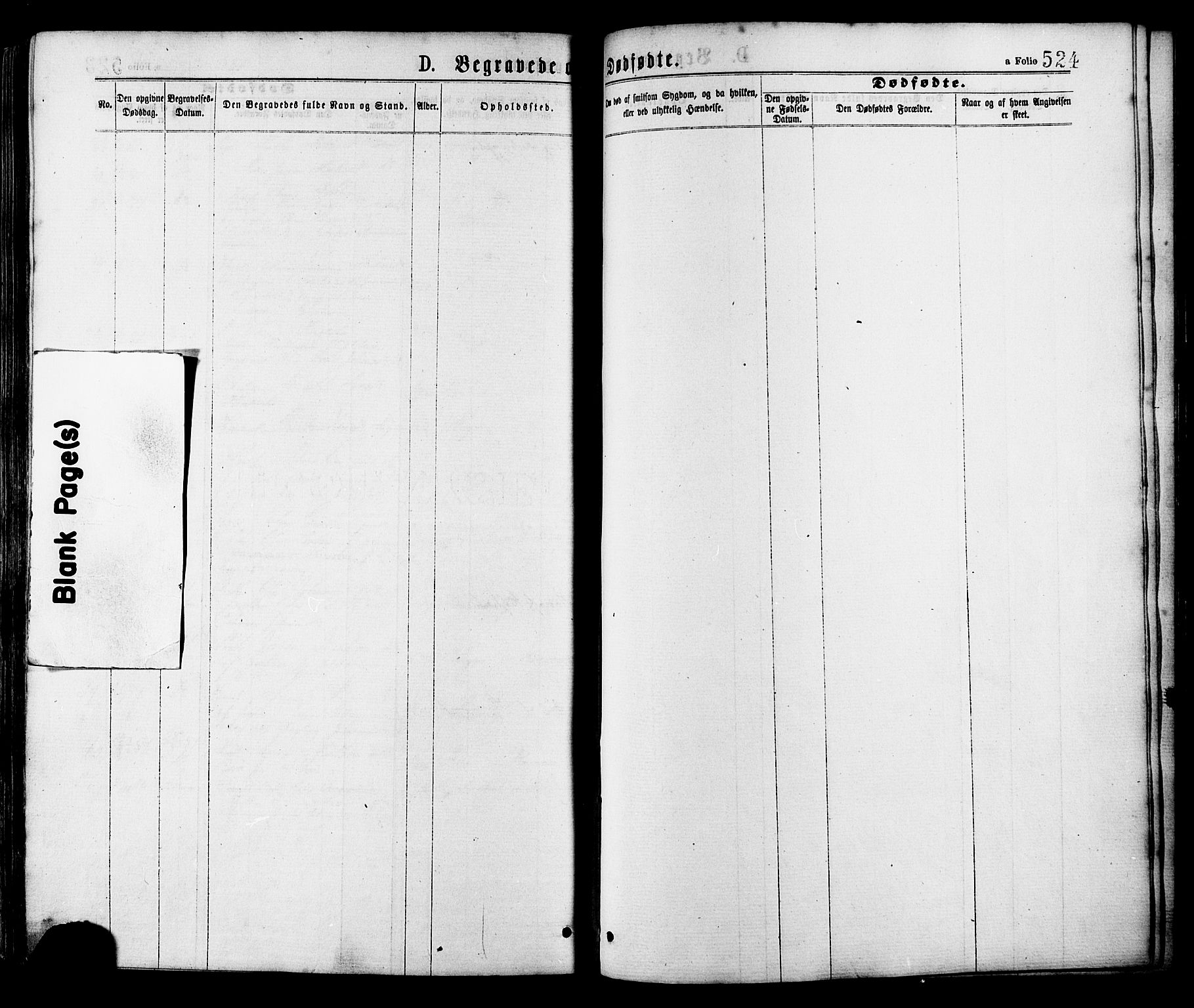 Ministerialprotokoller, klokkerbøker og fødselsregistre - Sør-Trøndelag, AV/SAT-A-1456/634/L0532: Parish register (official) no. 634A08, 1871-1881, p. 524