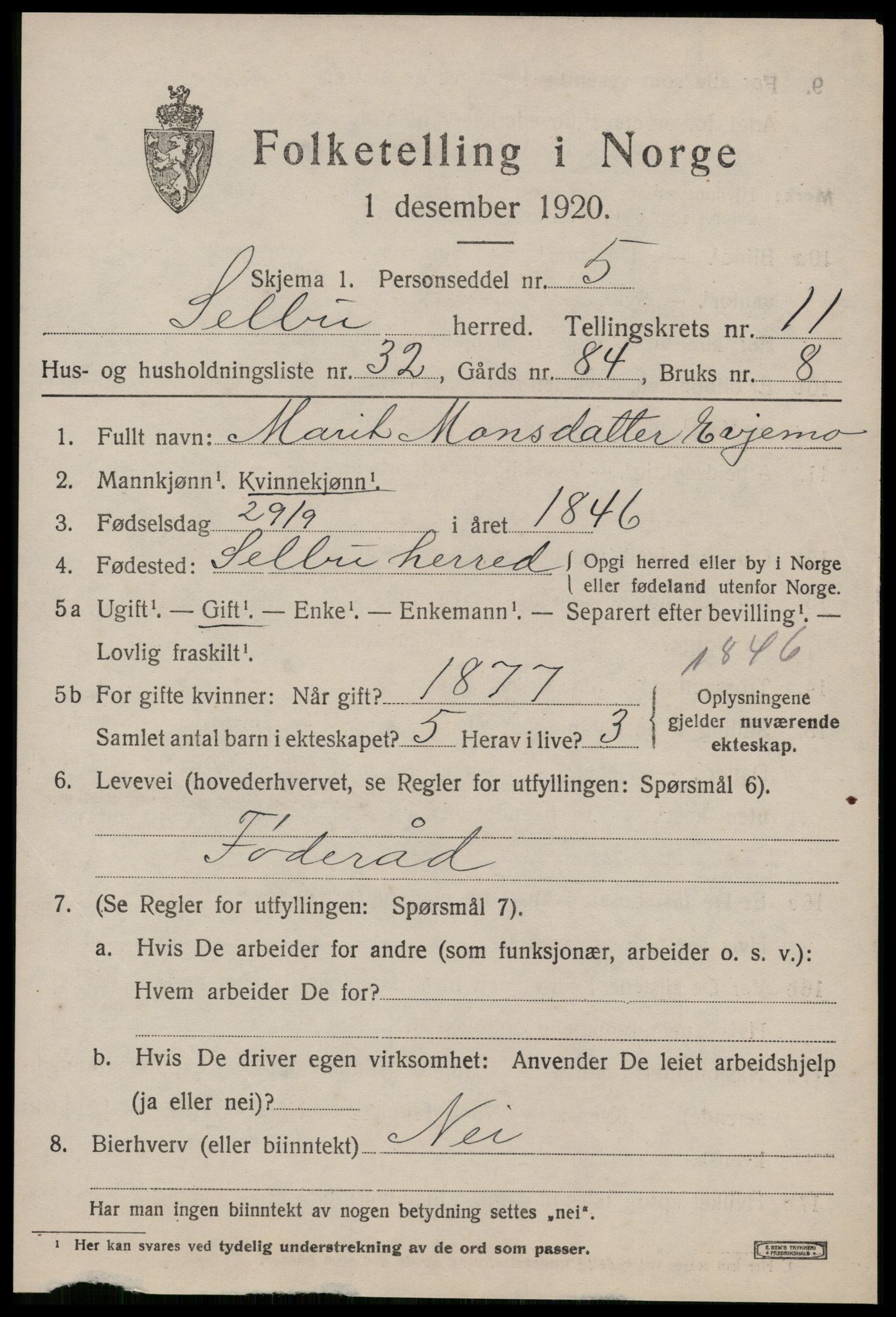 SAT, 1920 census for Selbu, 1920, p. 6504