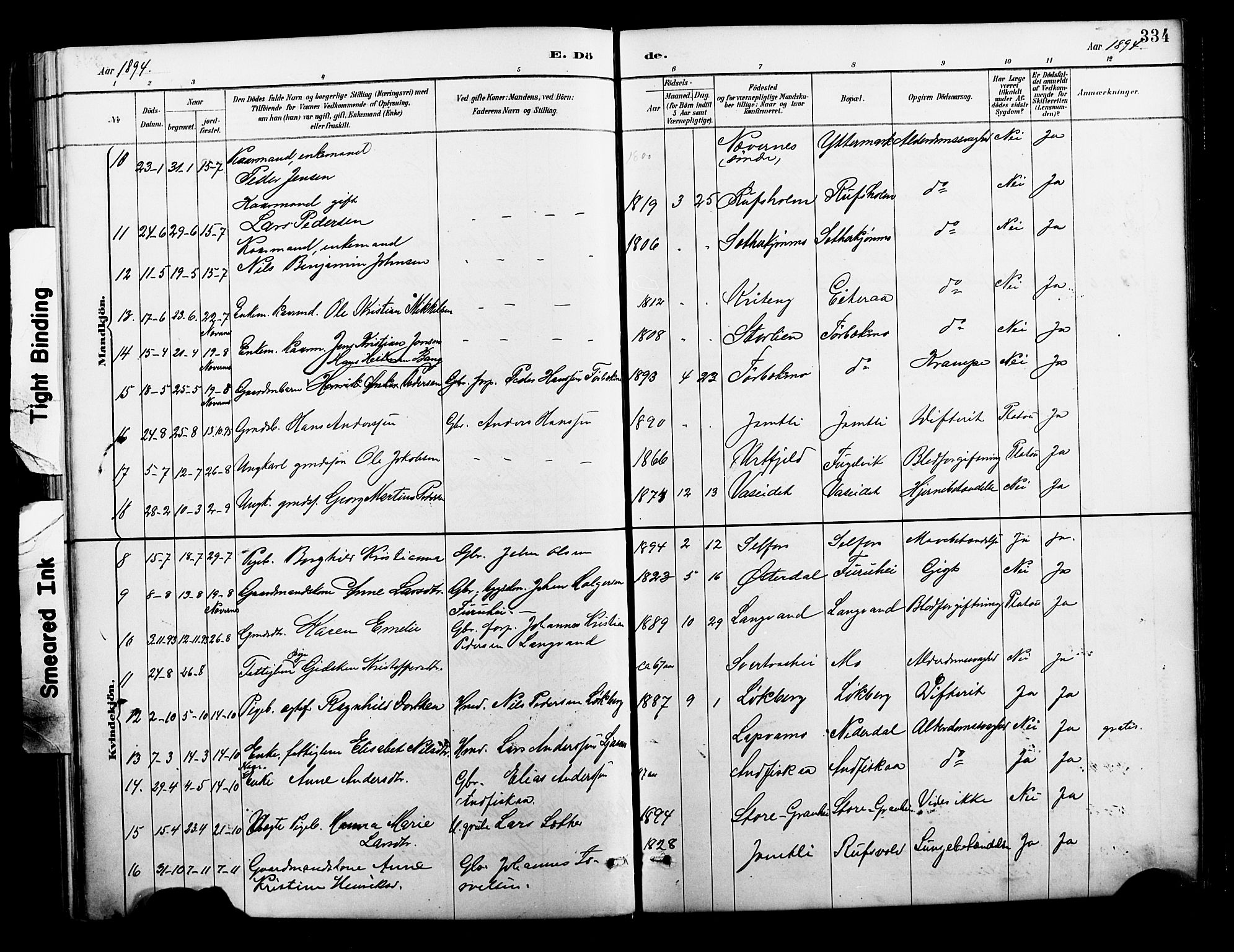 Ministerialprotokoller, klokkerbøker og fødselsregistre - Nordland, SAT/A-1459/827/L0421: Parish register (copy) no. 827C10, 1887-1906, p. 334