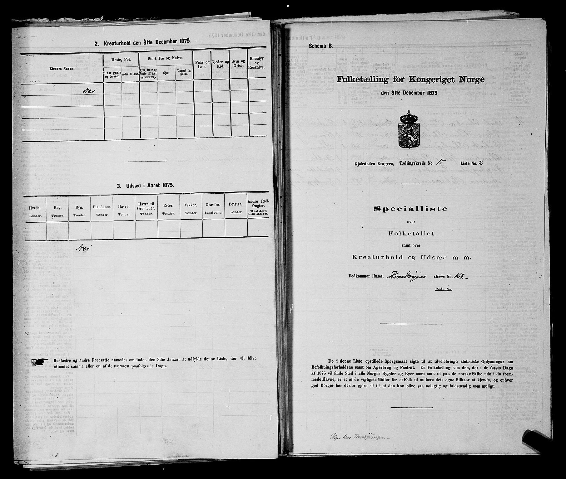 SAKO, 1875 census for 0801P Kragerø, 1875, p. 317