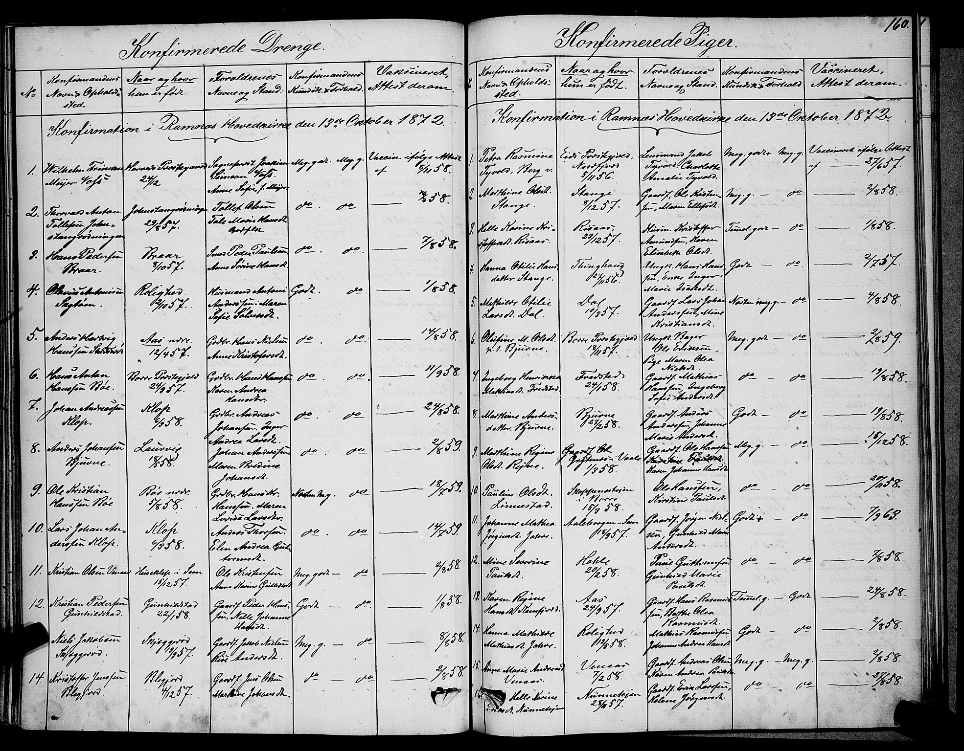 Ramnes kirkebøker, SAKO/A-314/G/Ga/L0003: Parish register (copy) no. I 3, 1870-1896, p. 160