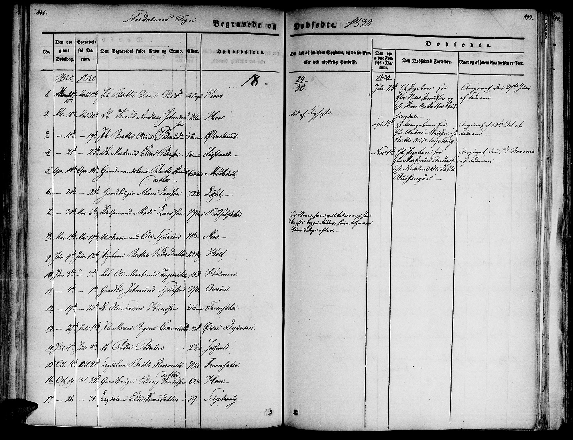 Ministerialprotokoller, klokkerbøker og fødselsregistre - Møre og Romsdal, AV/SAT-A-1454/520/L0274: Parish register (official) no. 520A04, 1827-1864, p. 446-447