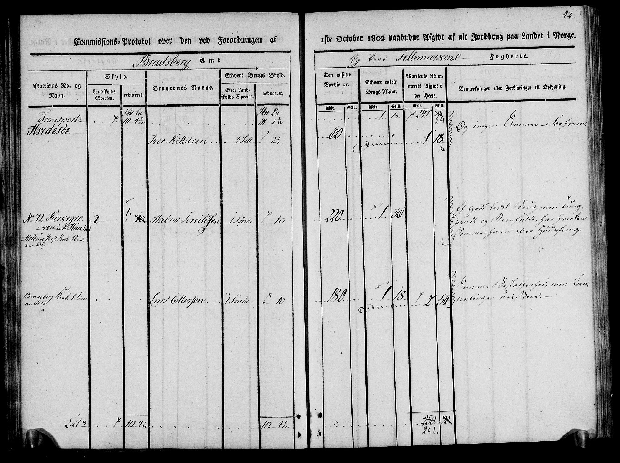 Rentekammeret inntil 1814, Realistisk ordnet avdeling, AV/RA-EA-4070/N/Ne/Nea/L0075: Øvre Telemarken fogderi. Kommisjonsprotokoll for fogderiets vestre del - Kviteseid, Vinje, Moland [):Fyresdal] og Lårdal prestegjeld., 1803, p. 42