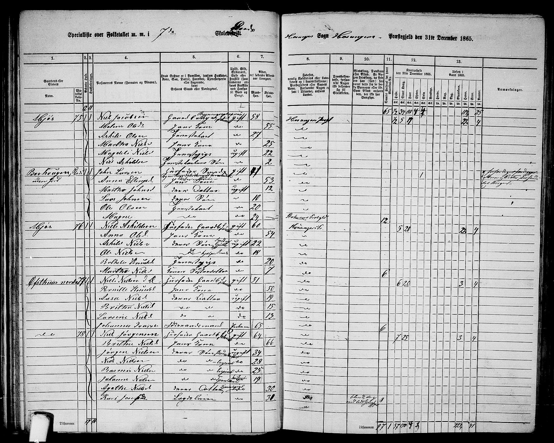 RA, 1865 census for Hosanger, 1865, p. 53