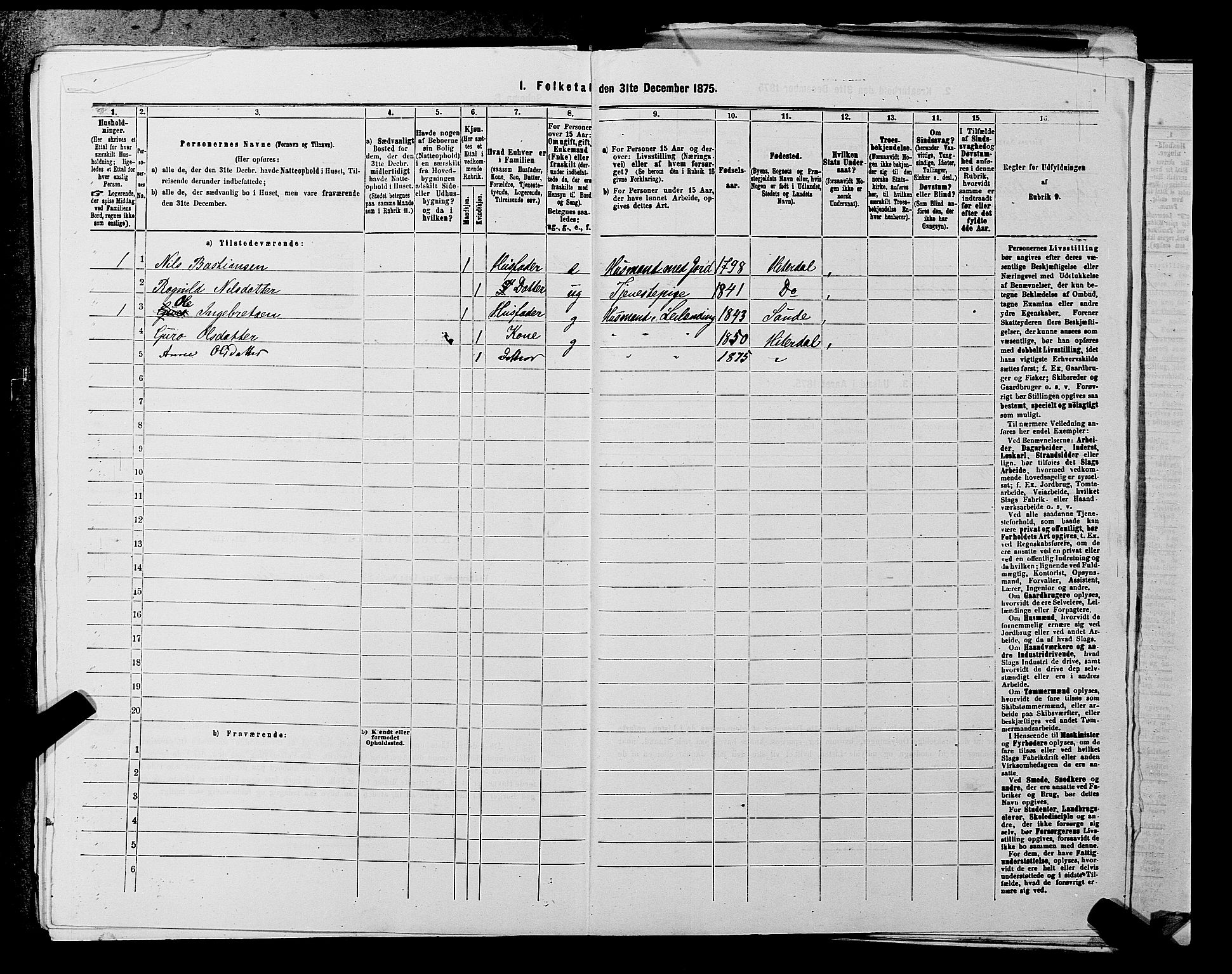 SAKO, 1875 census for 0823P Heddal, 1875, p. 819