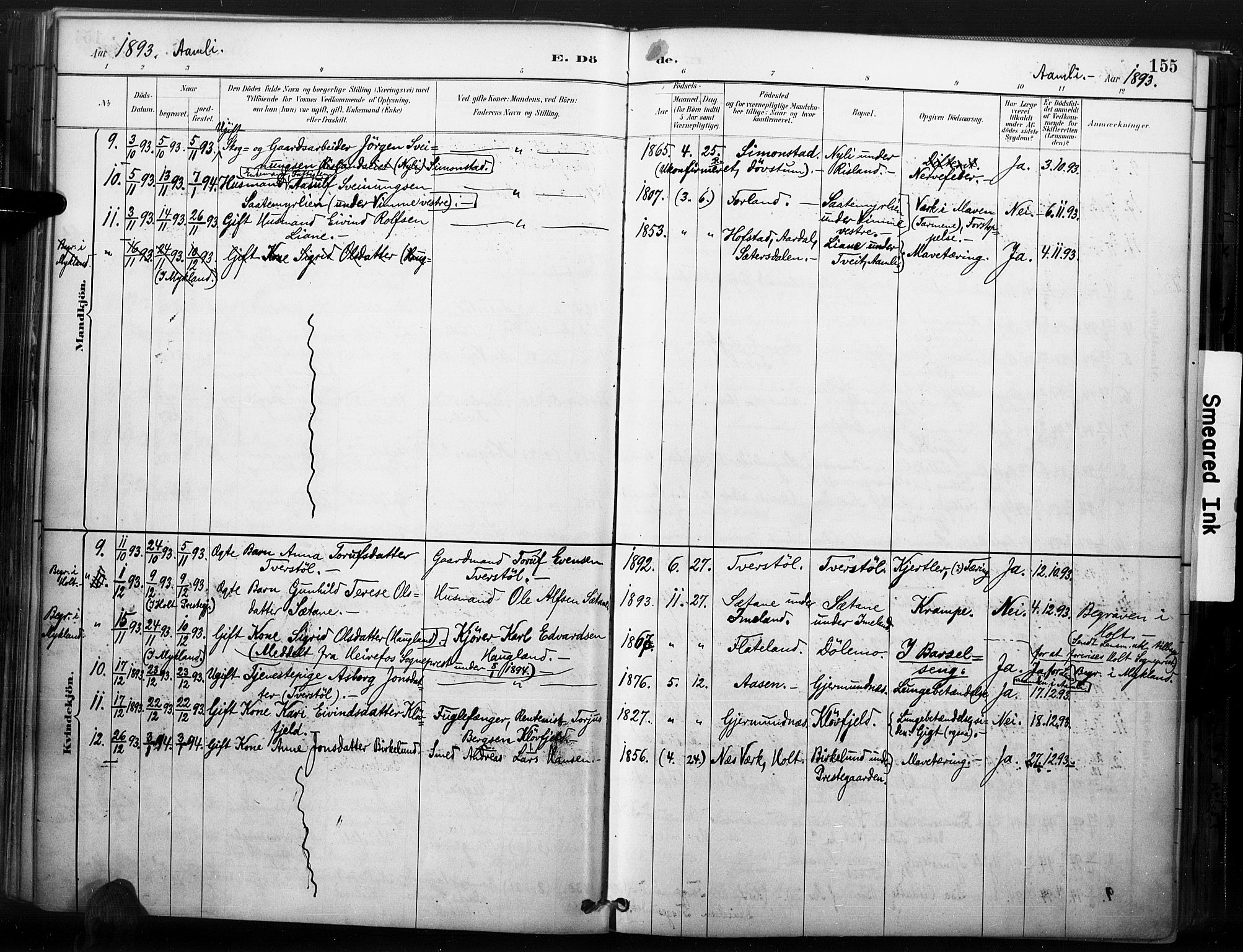Åmli sokneprestkontor, SAK/1111-0050/F/Fa/Fac/L0010: Parish register (official) no. A 10 /1, 1885-1899, p. 155