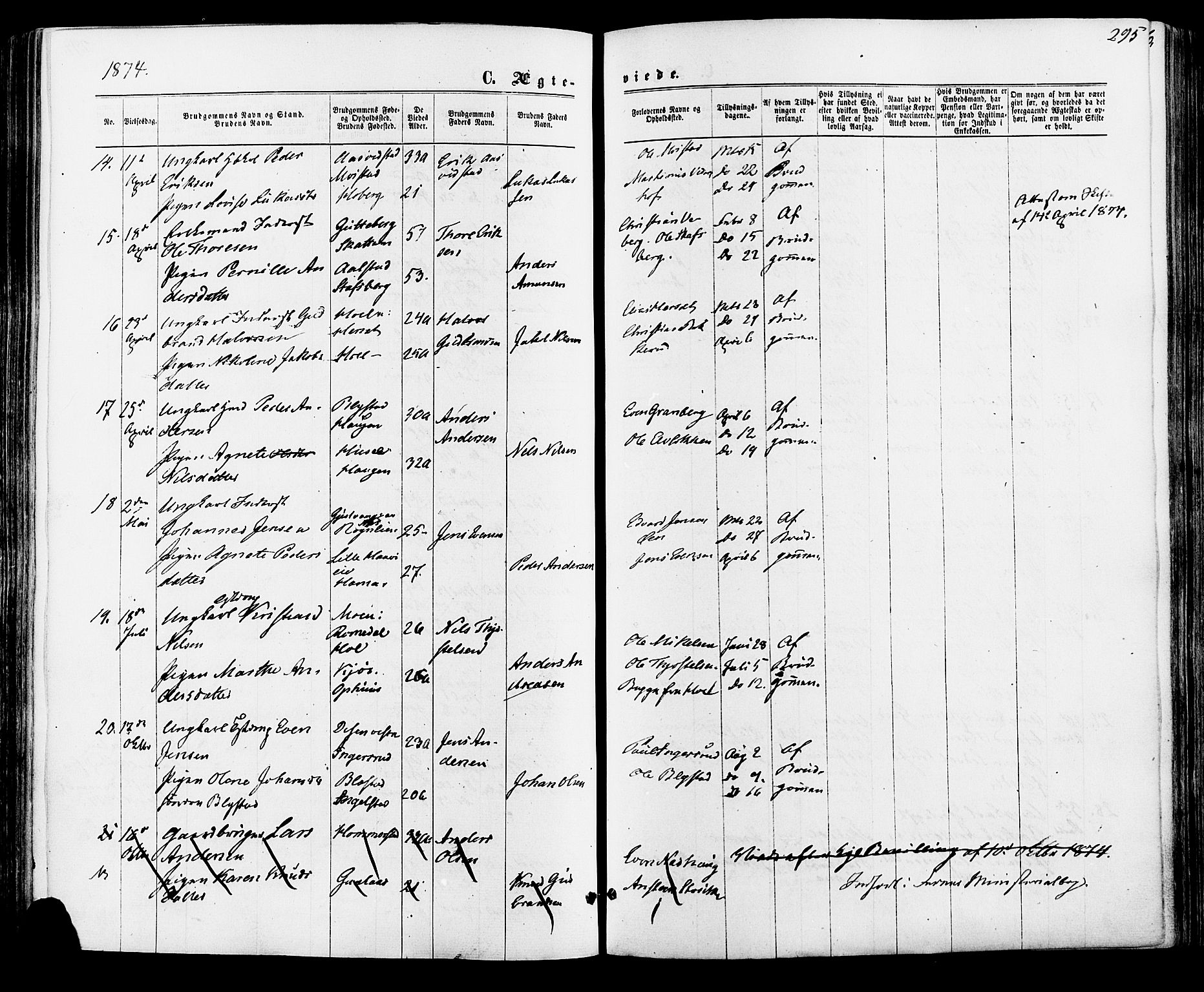 Vang prestekontor, Hedmark, AV/SAH-PREST-008/H/Ha/Haa/L0015: Parish register (official) no. 15, 1871-1885, p. 295