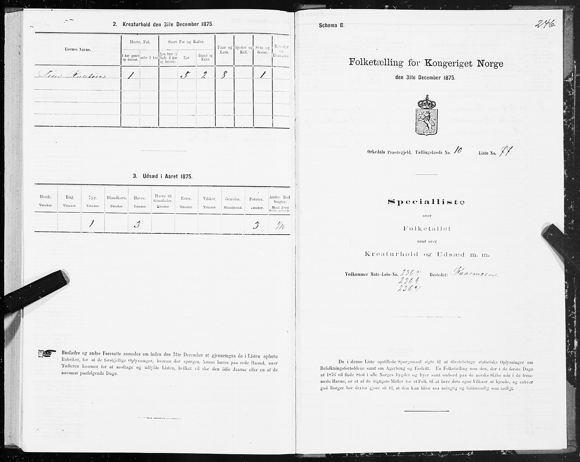 SAT, 1875 census for 1638P Orkdal, 1875, p. 5246